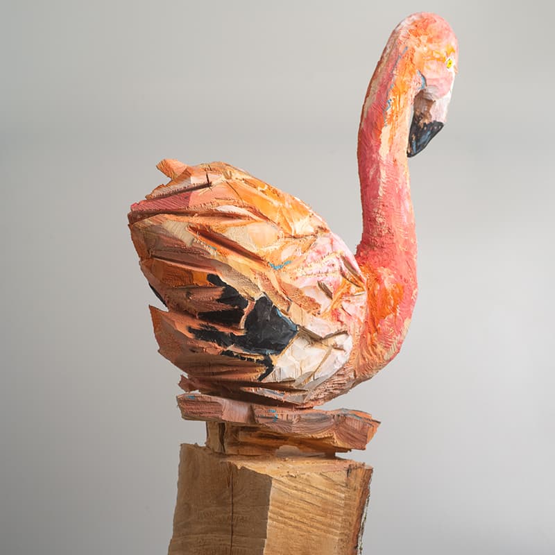 Flamant Rose 2 Par Guillaume Belin