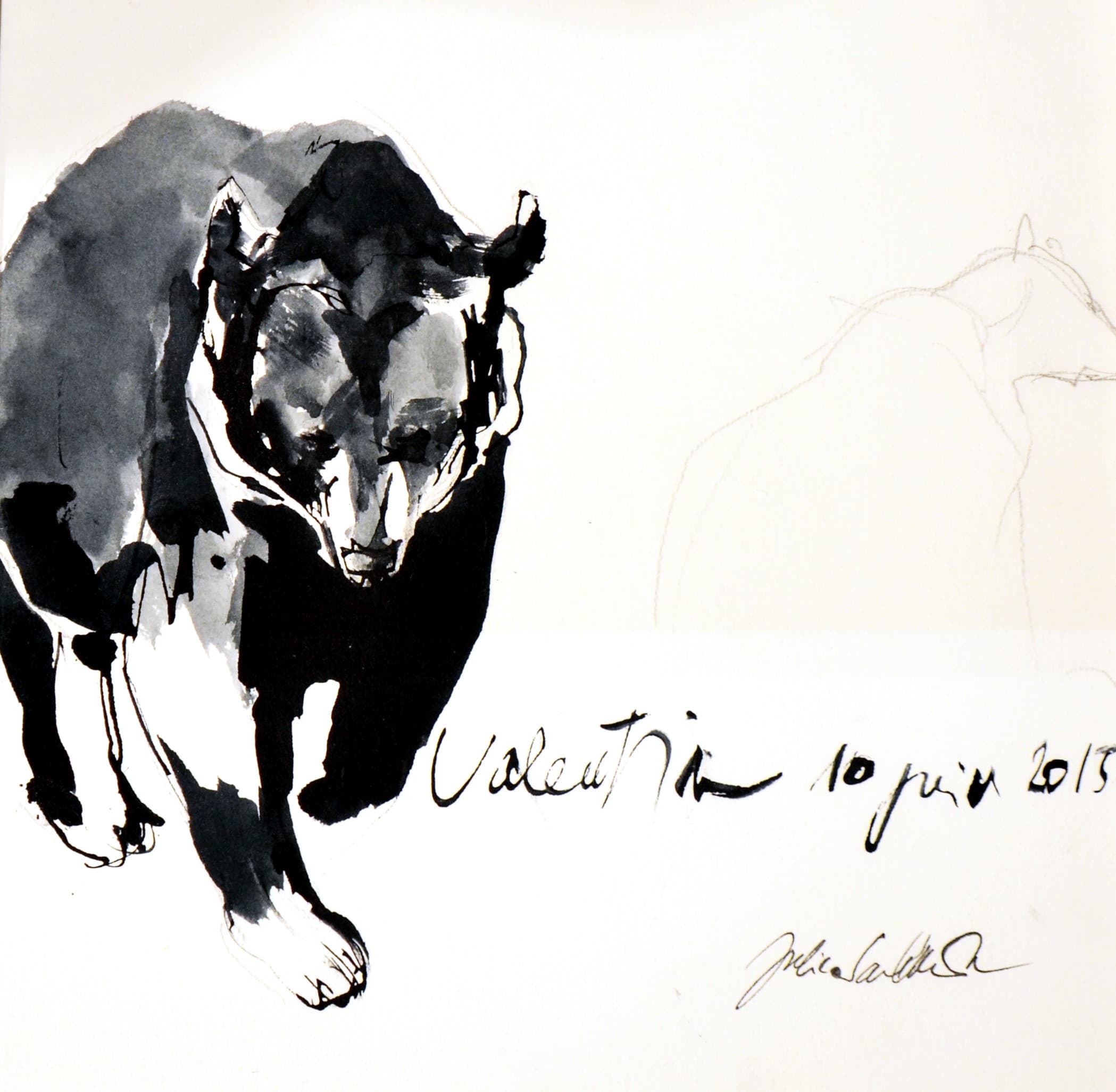 VALENTIN ENERVE (ours brun)