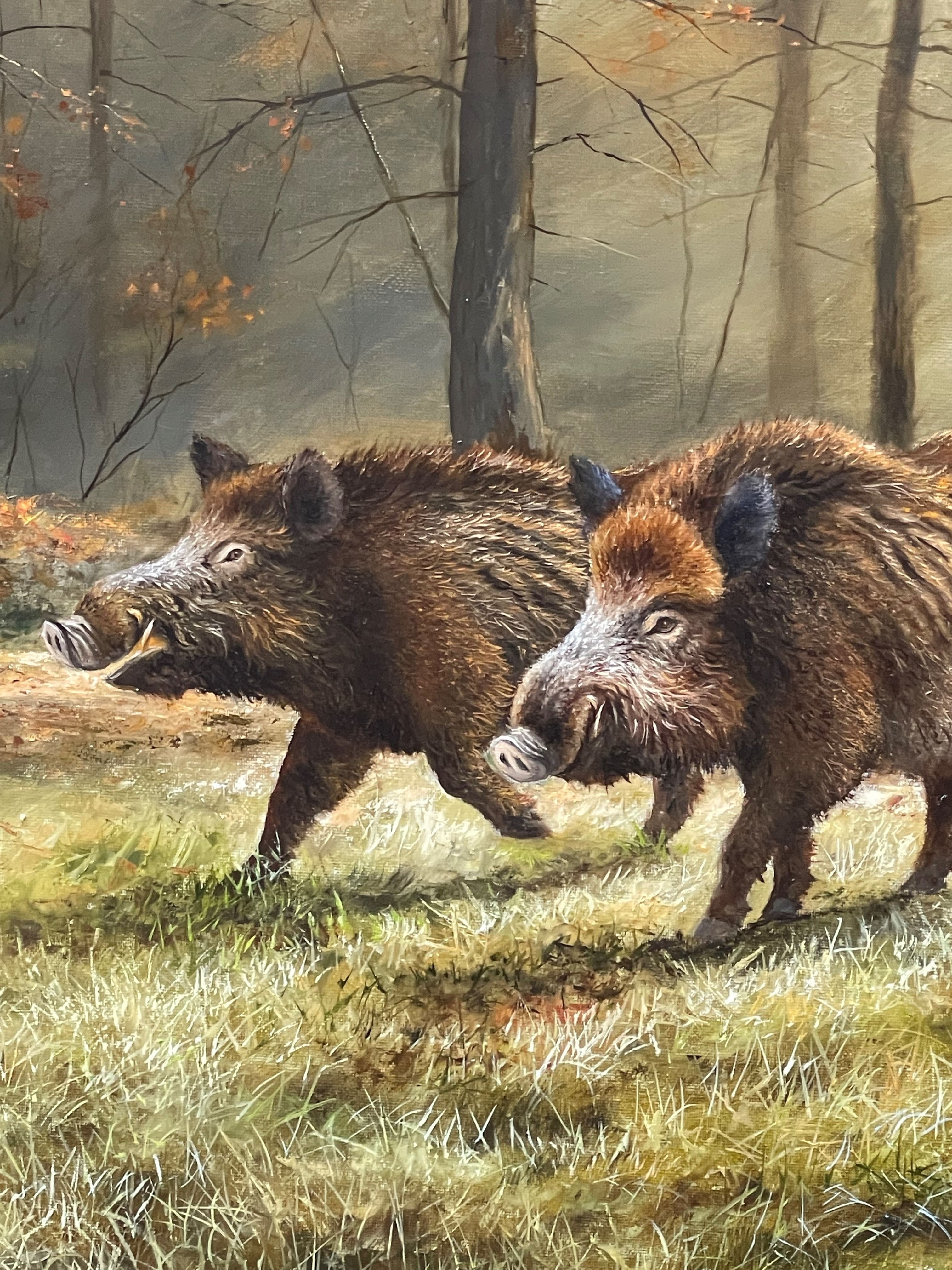 SANGLIERS DANS LA FORÊT