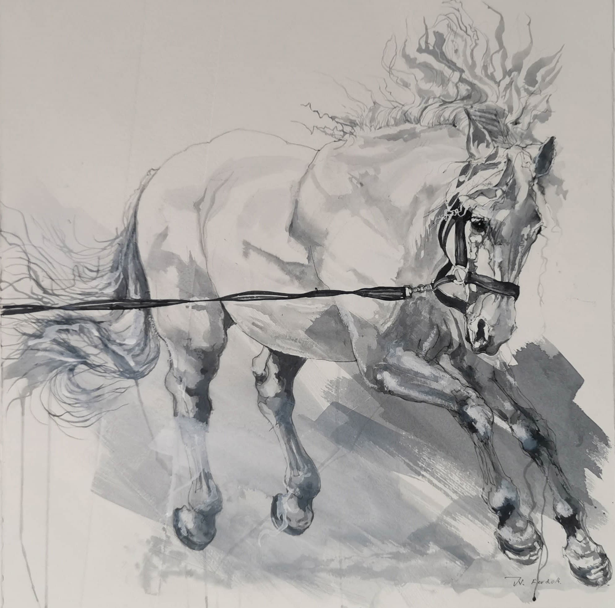 CHEVAL LUSITANIEN AU TRAVAIL
