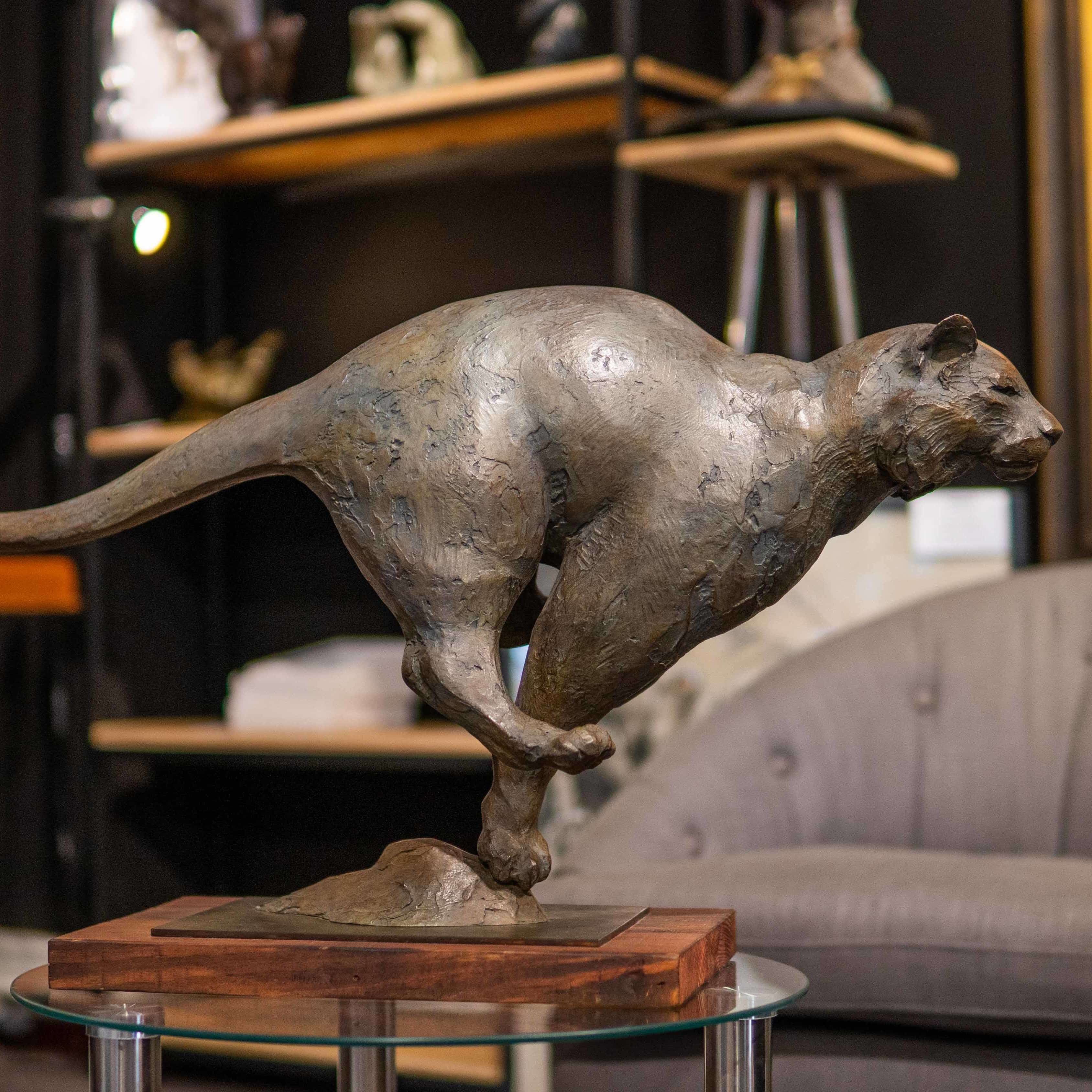 LE TIGRE AU GALOP