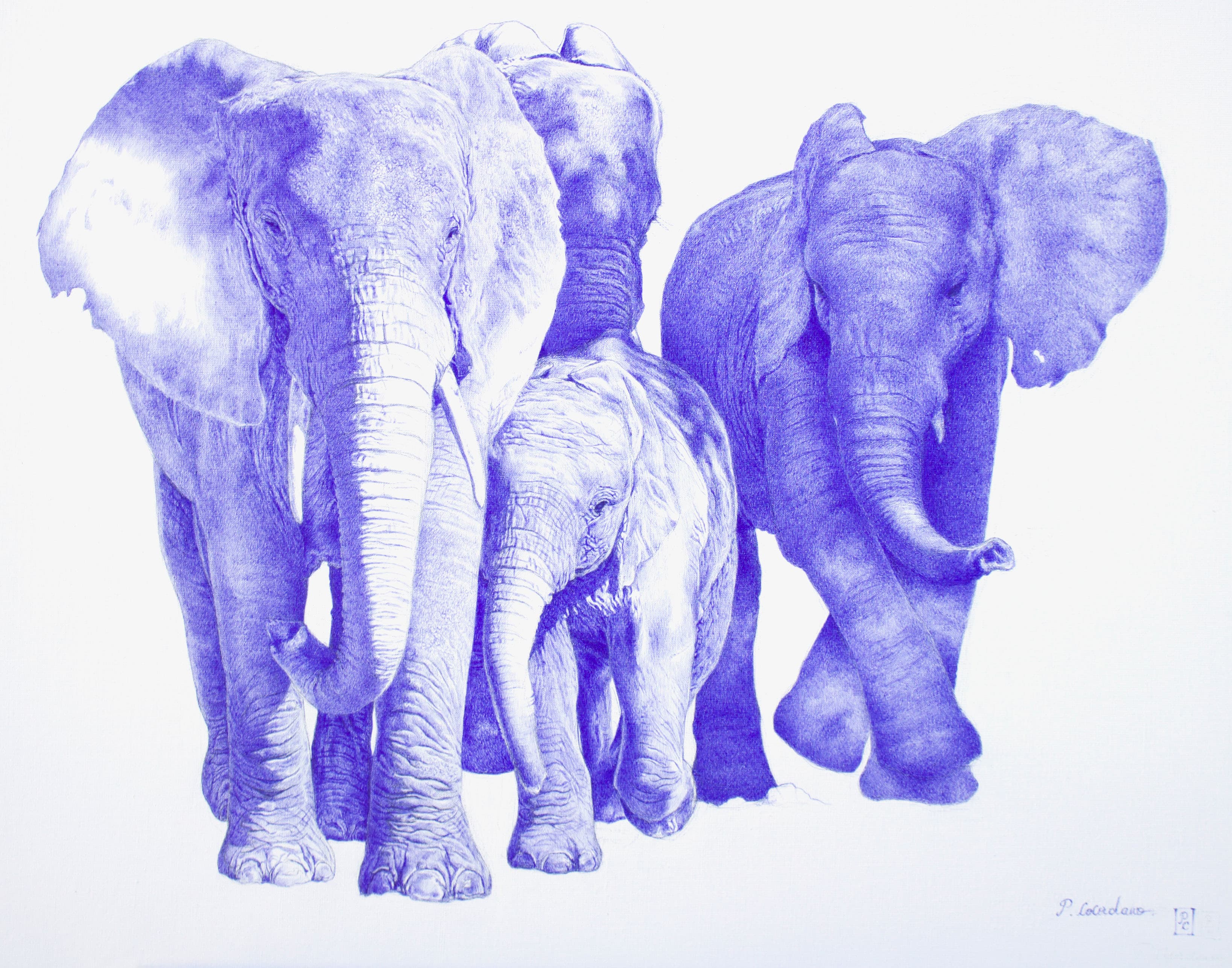 ELEPHANTS