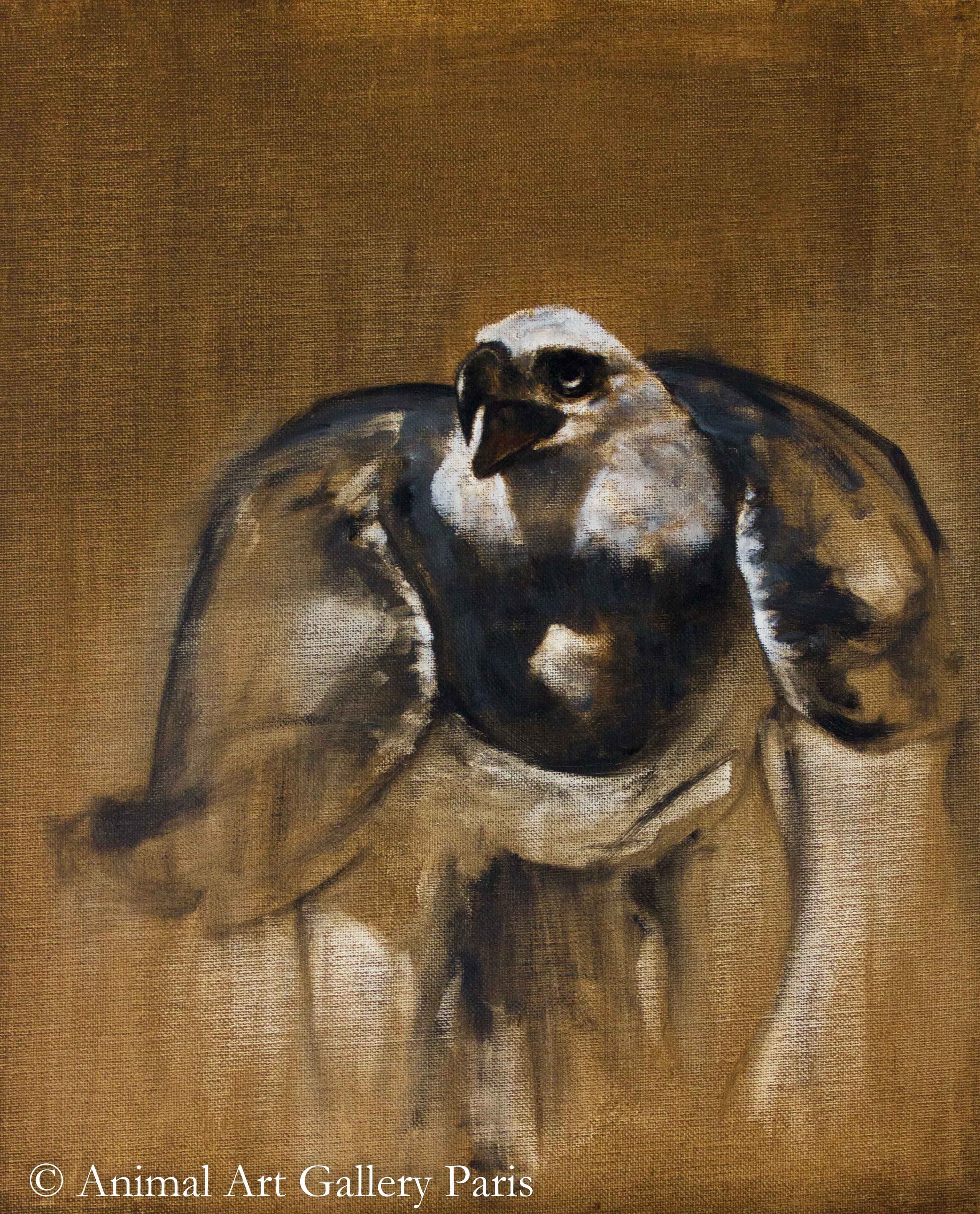 ETUDE DE RAPACE