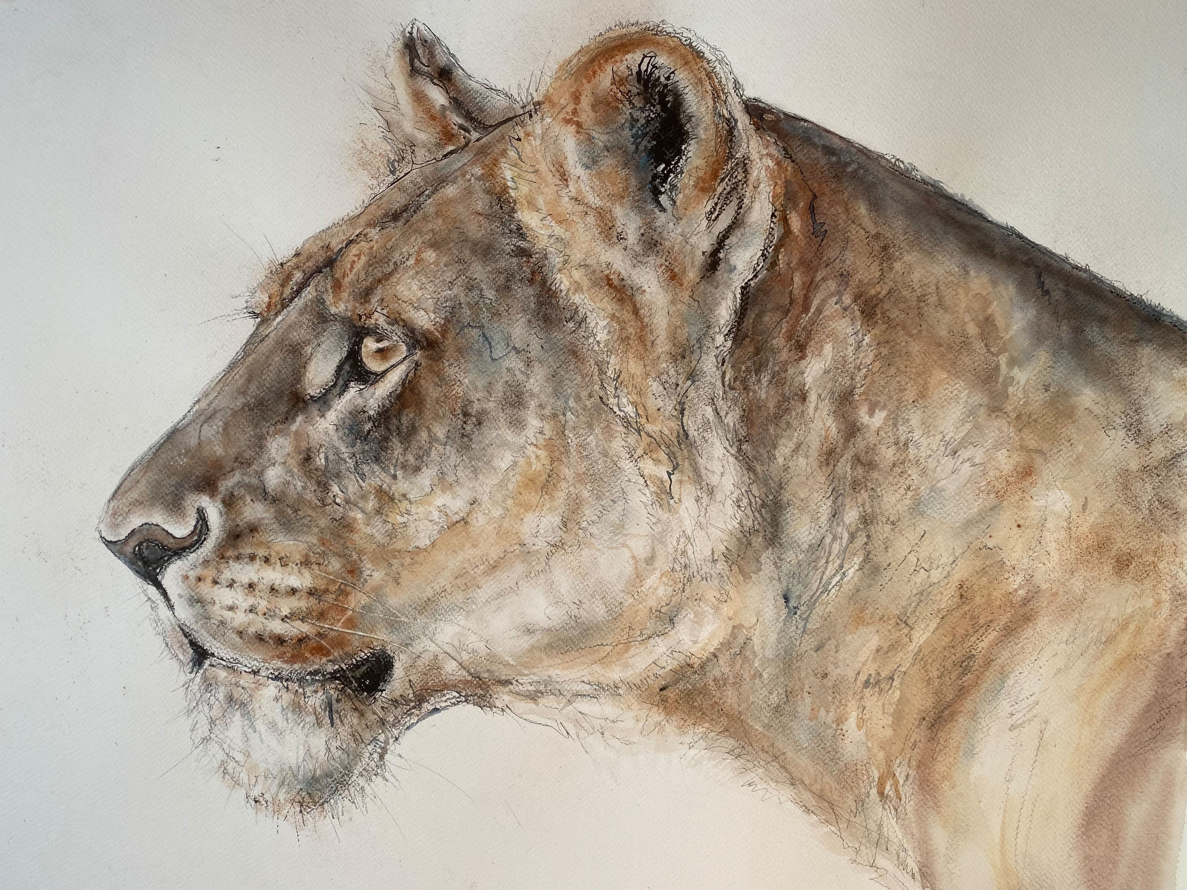 LIONNE