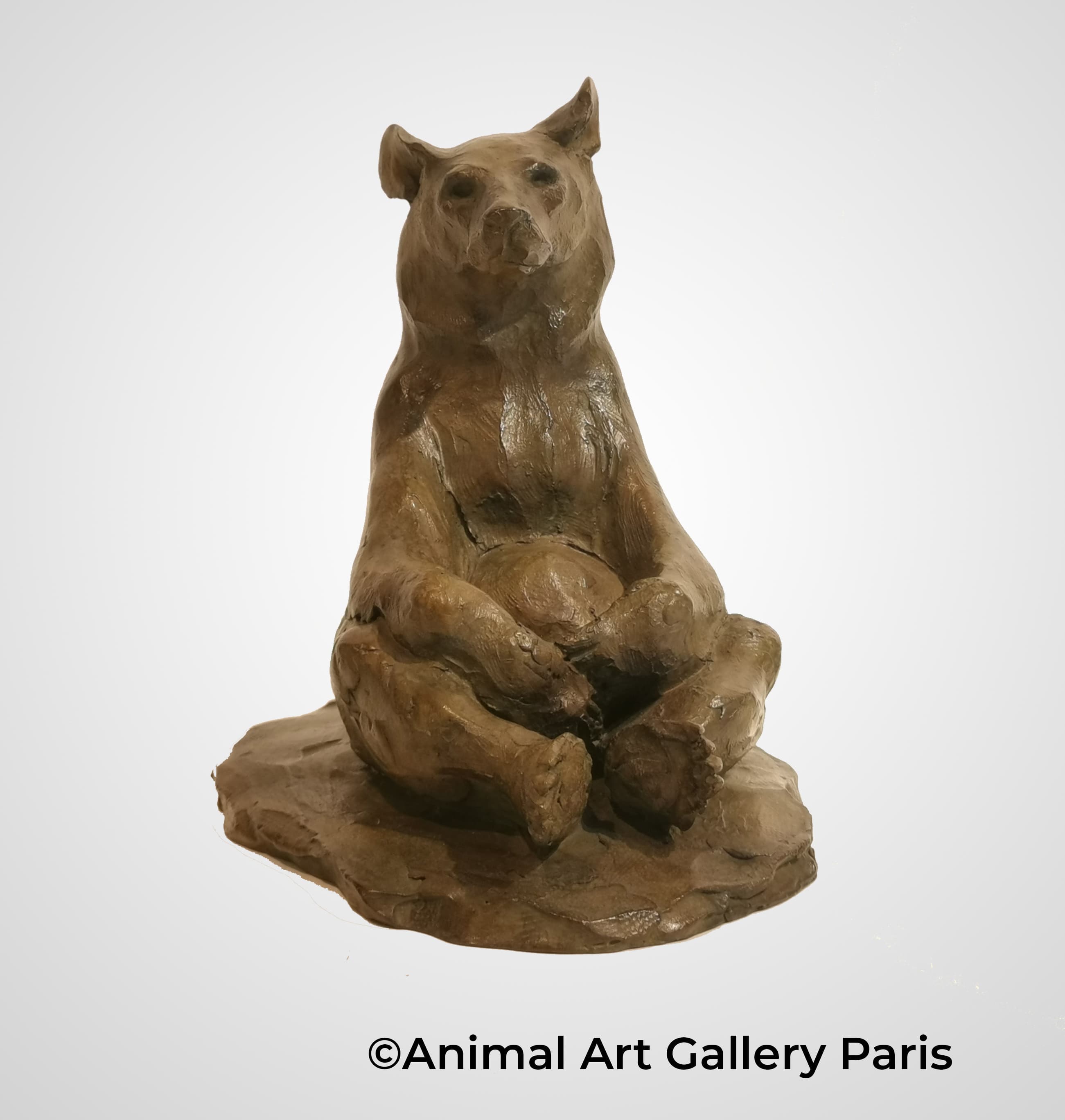 PETIT BIDOU (ours brun)