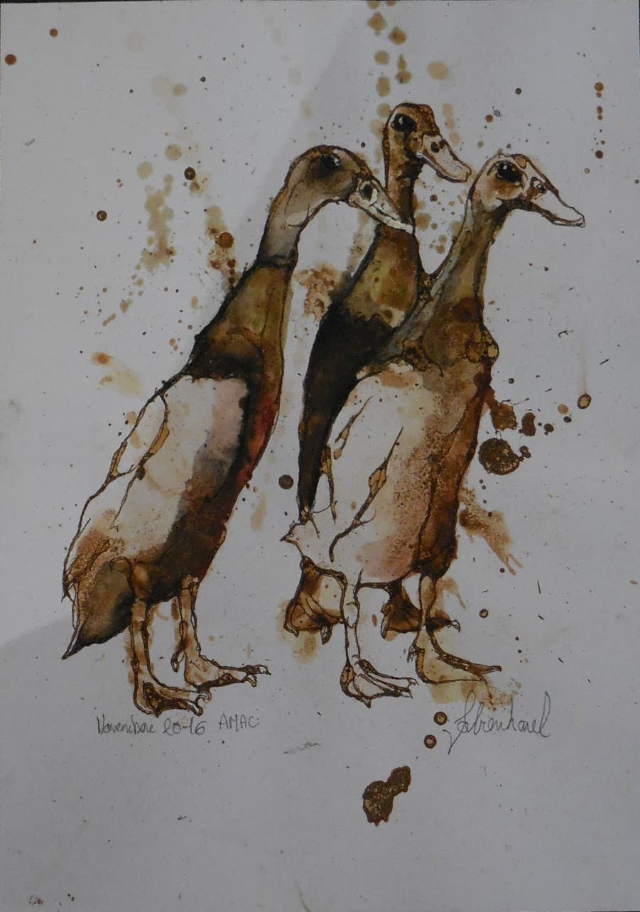 CANARDS No3
