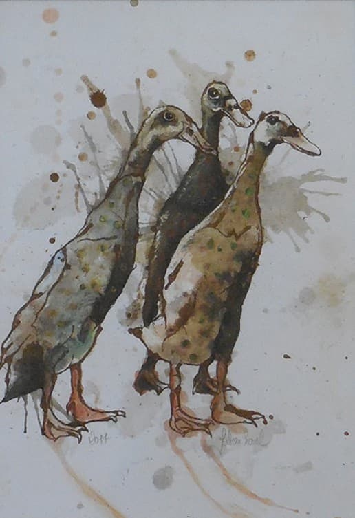 CANARDS No1