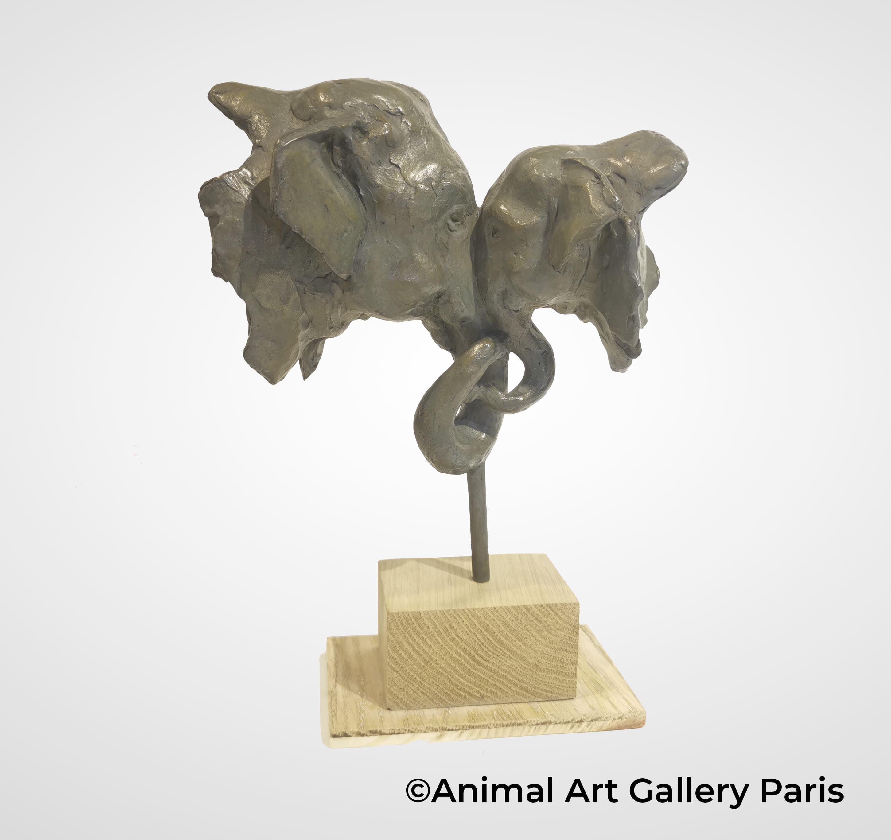 MATERNITE (Eléphants)