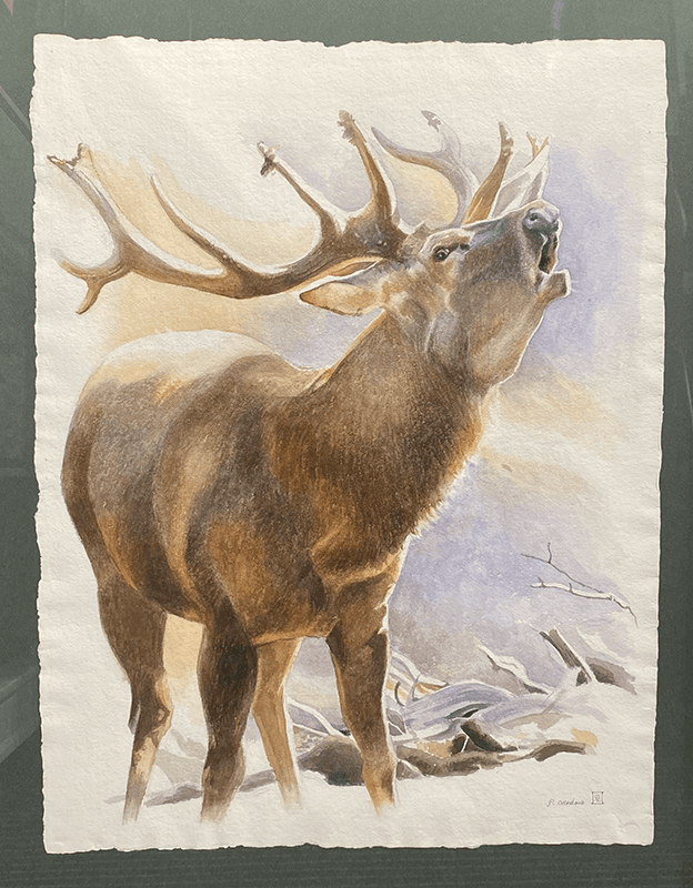 LE CERF
