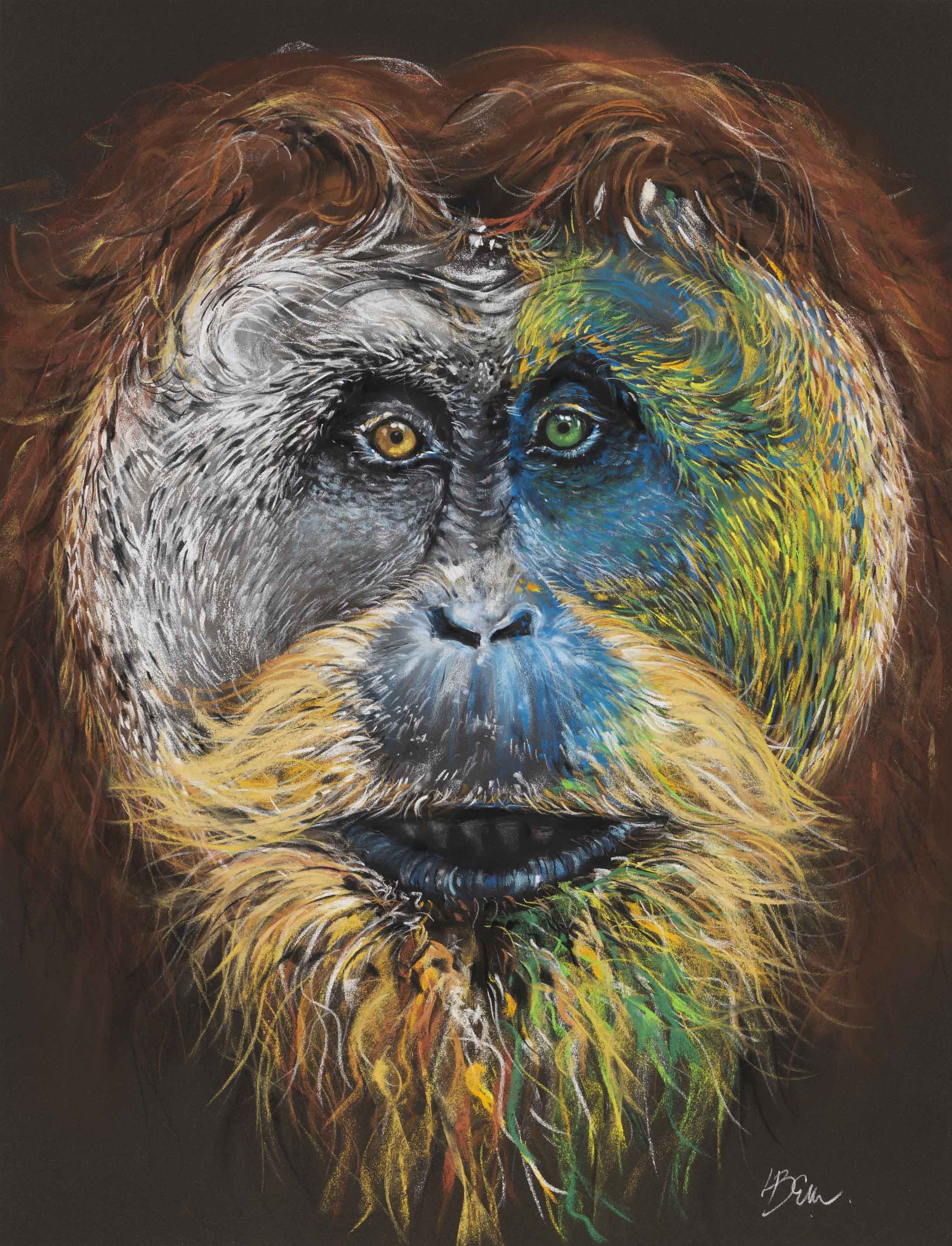 ORANG-OUTAN D'EMERAUDE