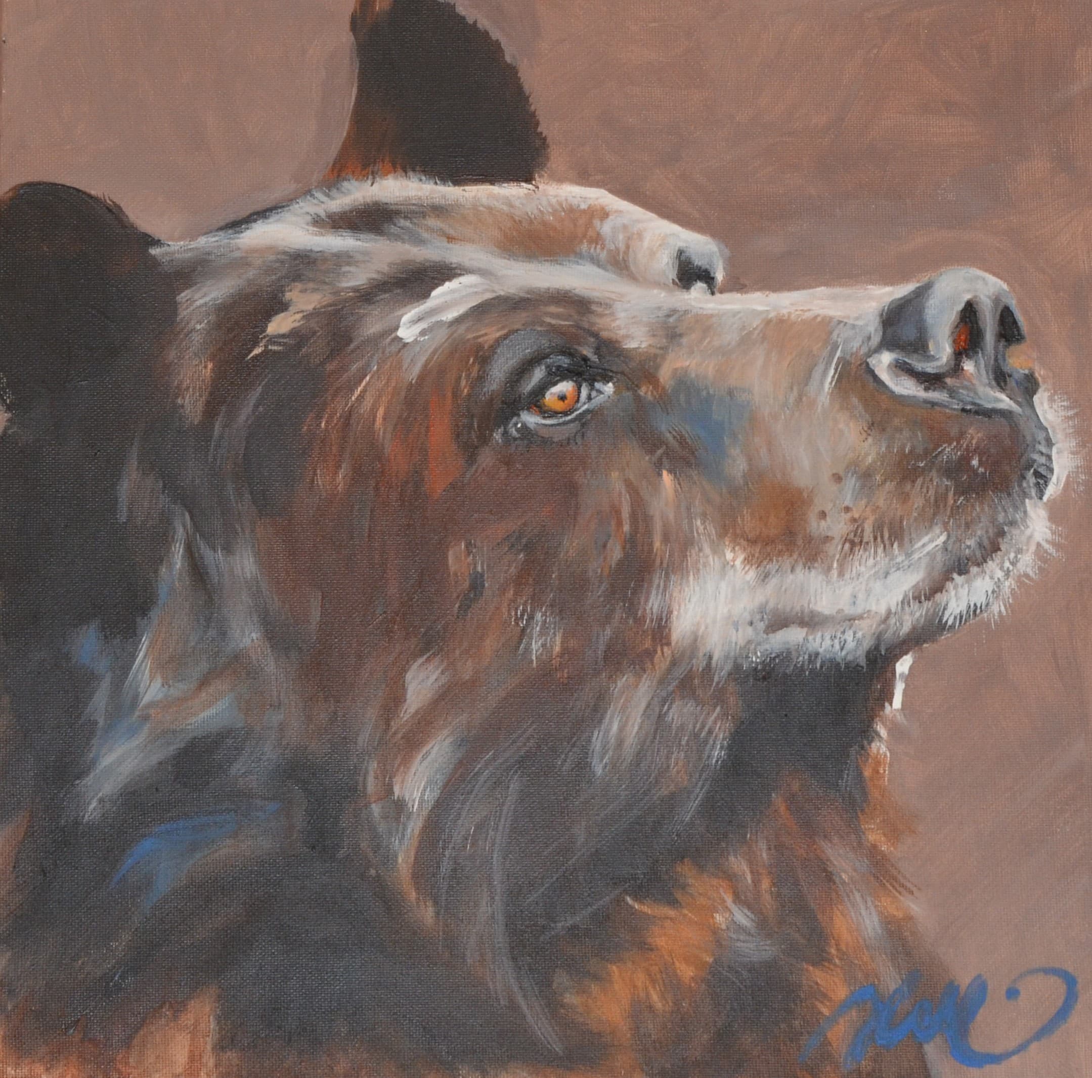 Tête d'ours