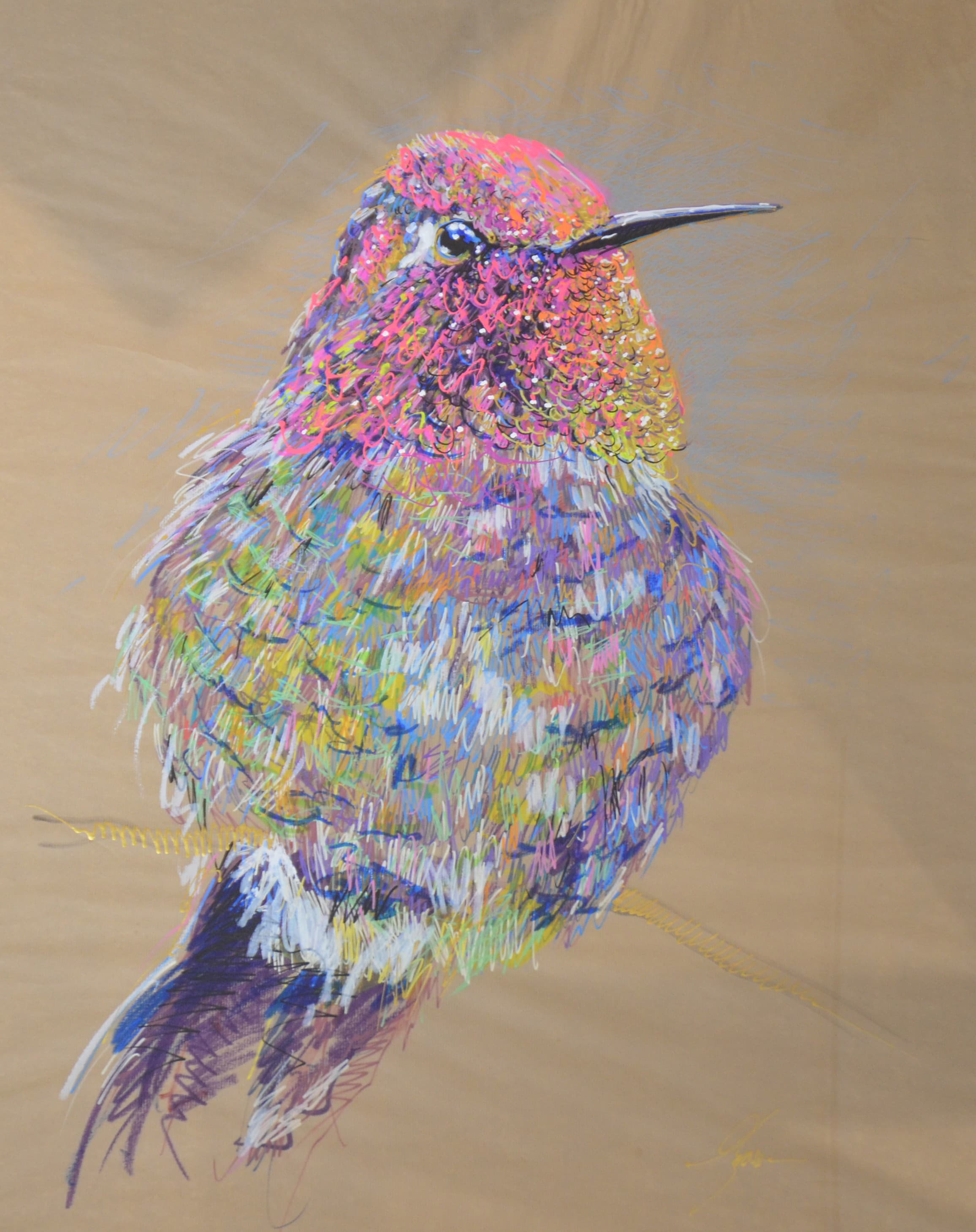 Colibri