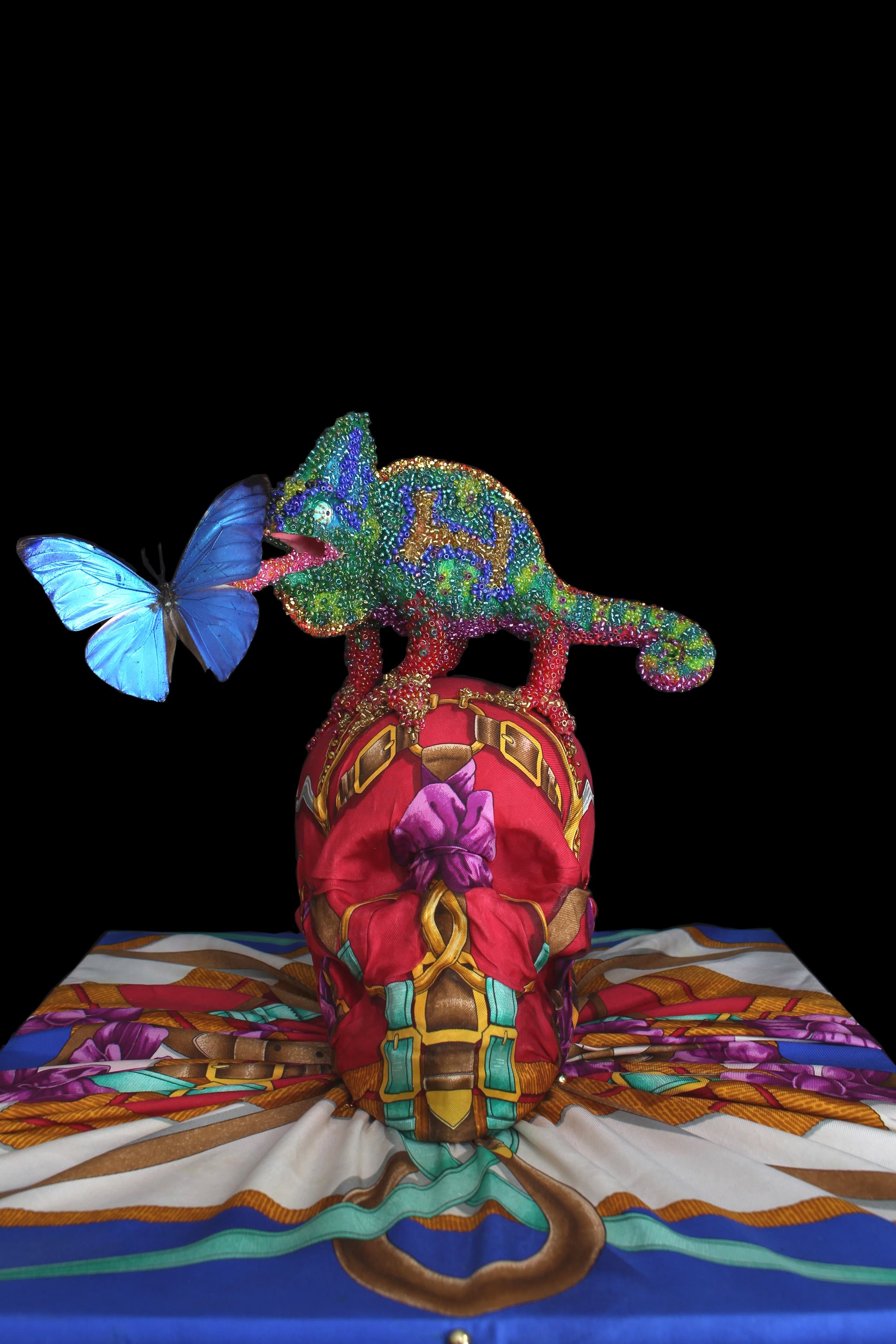 LE CASQUE D'H (caméléon)