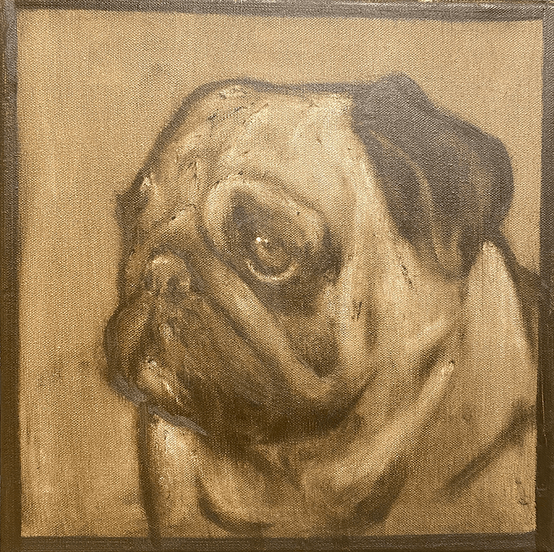 PORTRAIT DE CARLIN (chien)