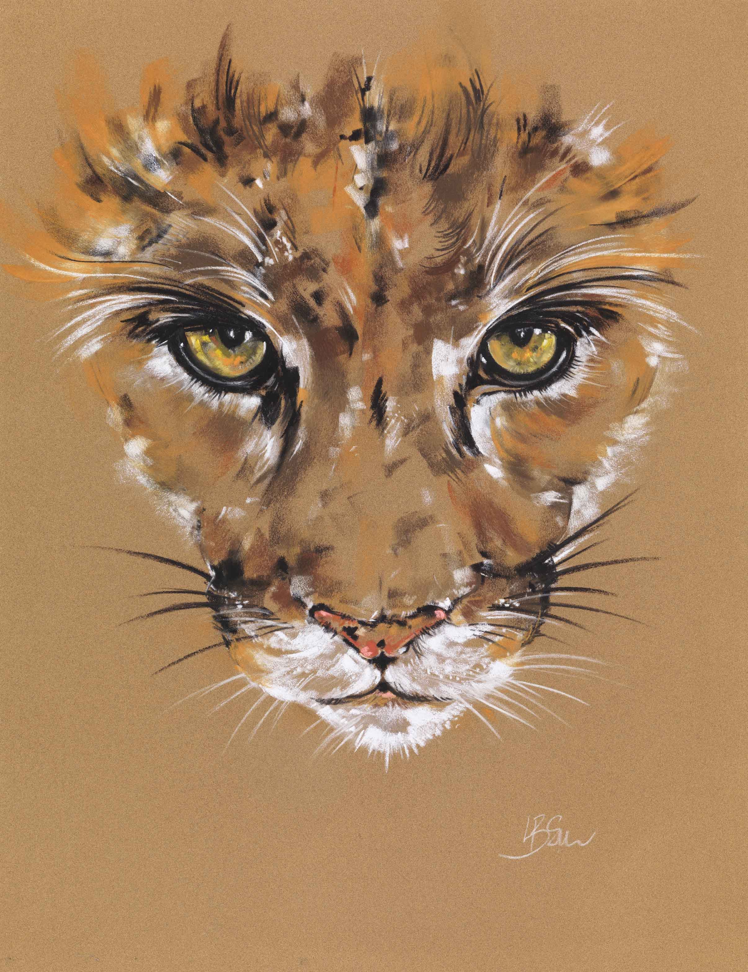 JAGUAR
