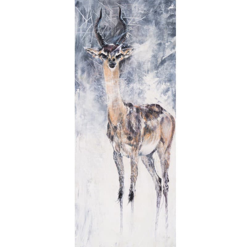 JE VEILLE (gerenuk)