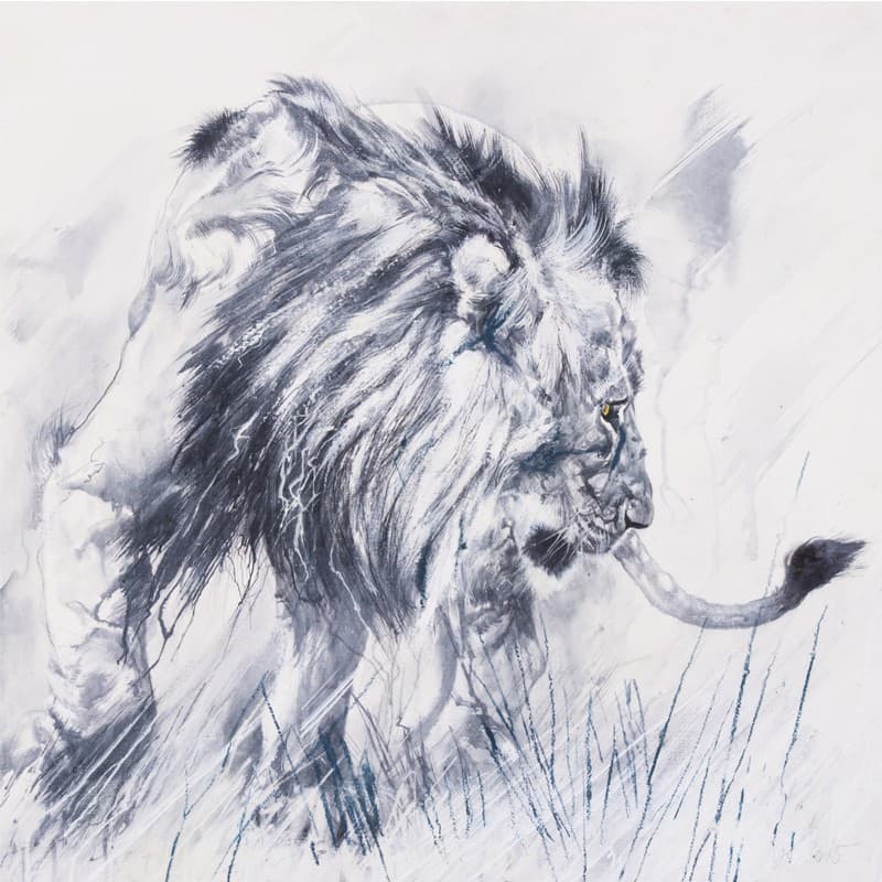 SO WHAT (lion)
