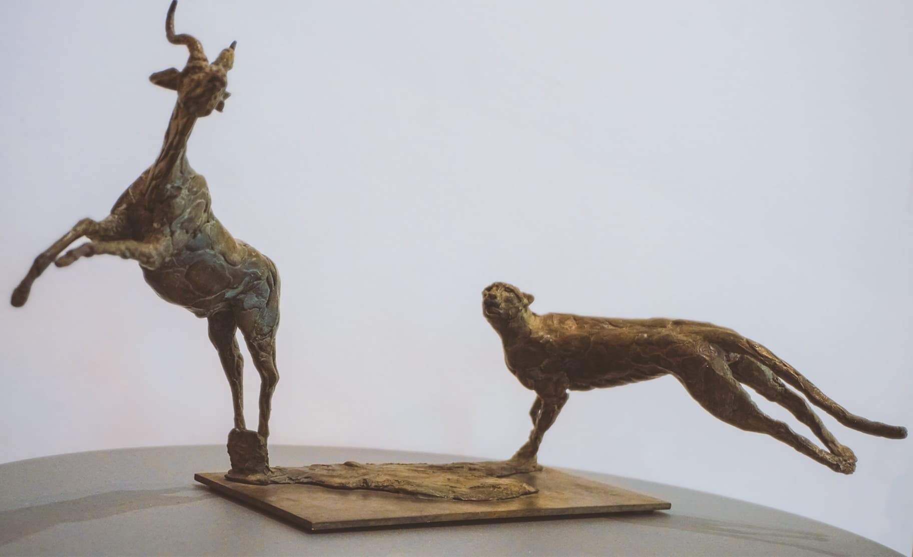 La poursuite (guépard et gazelle)