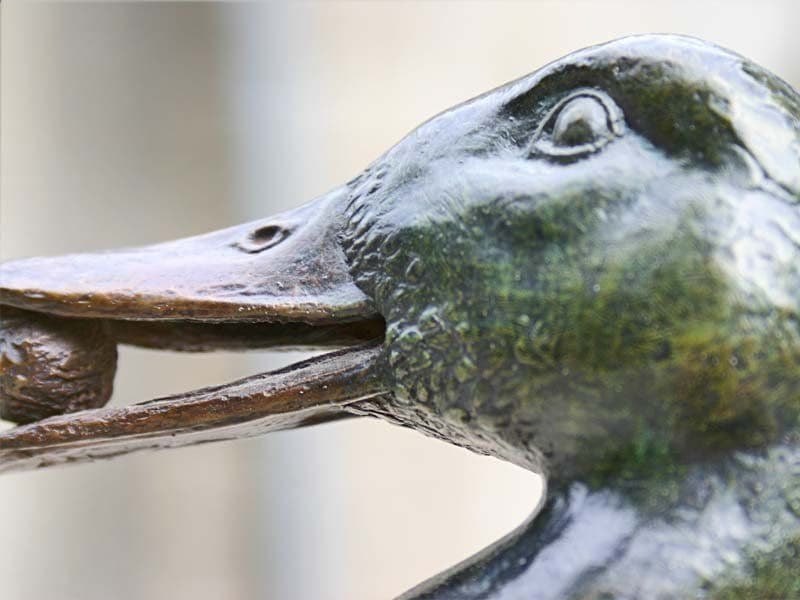 CANARD AU GRAIN