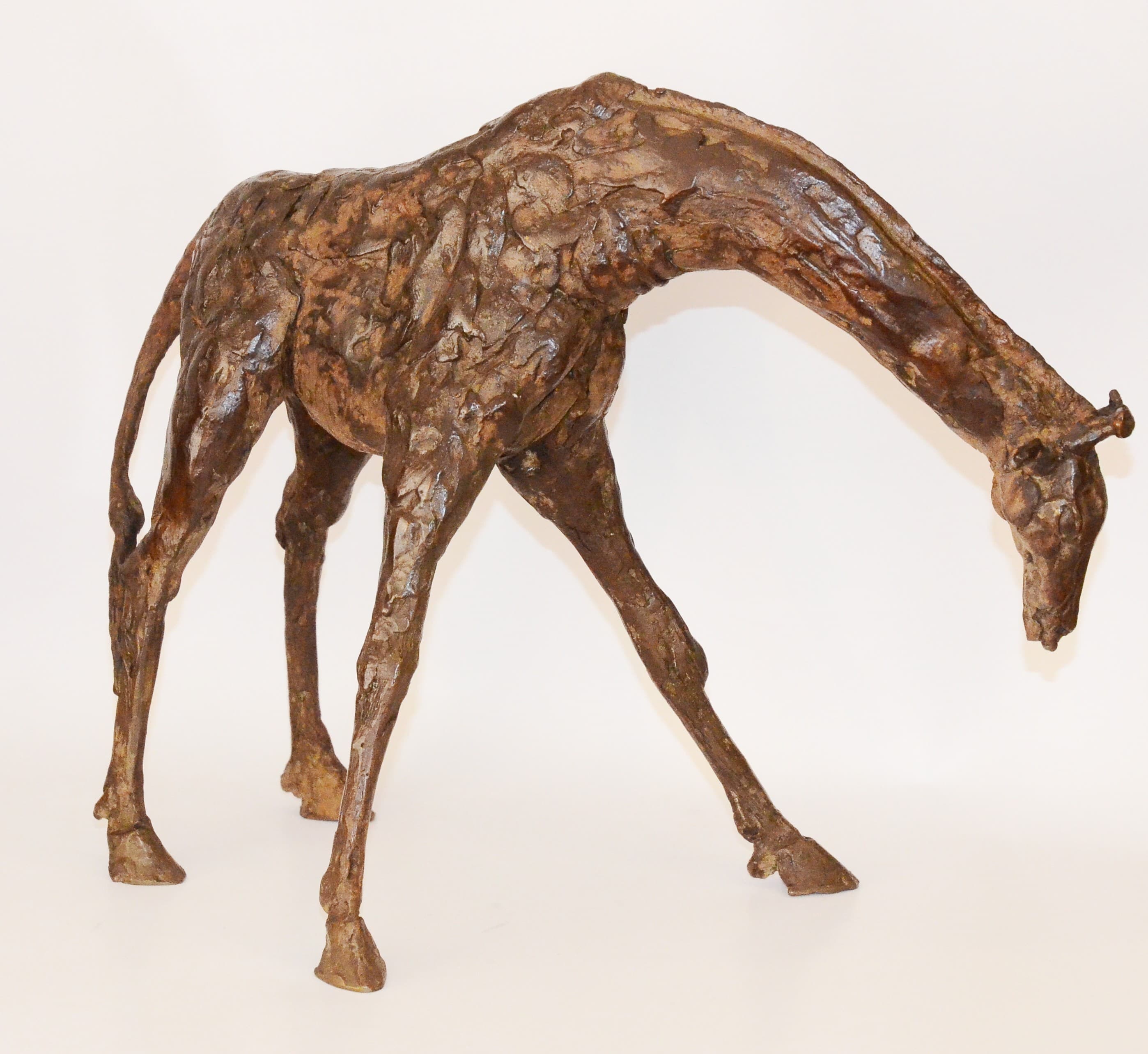 GIRAFE No2