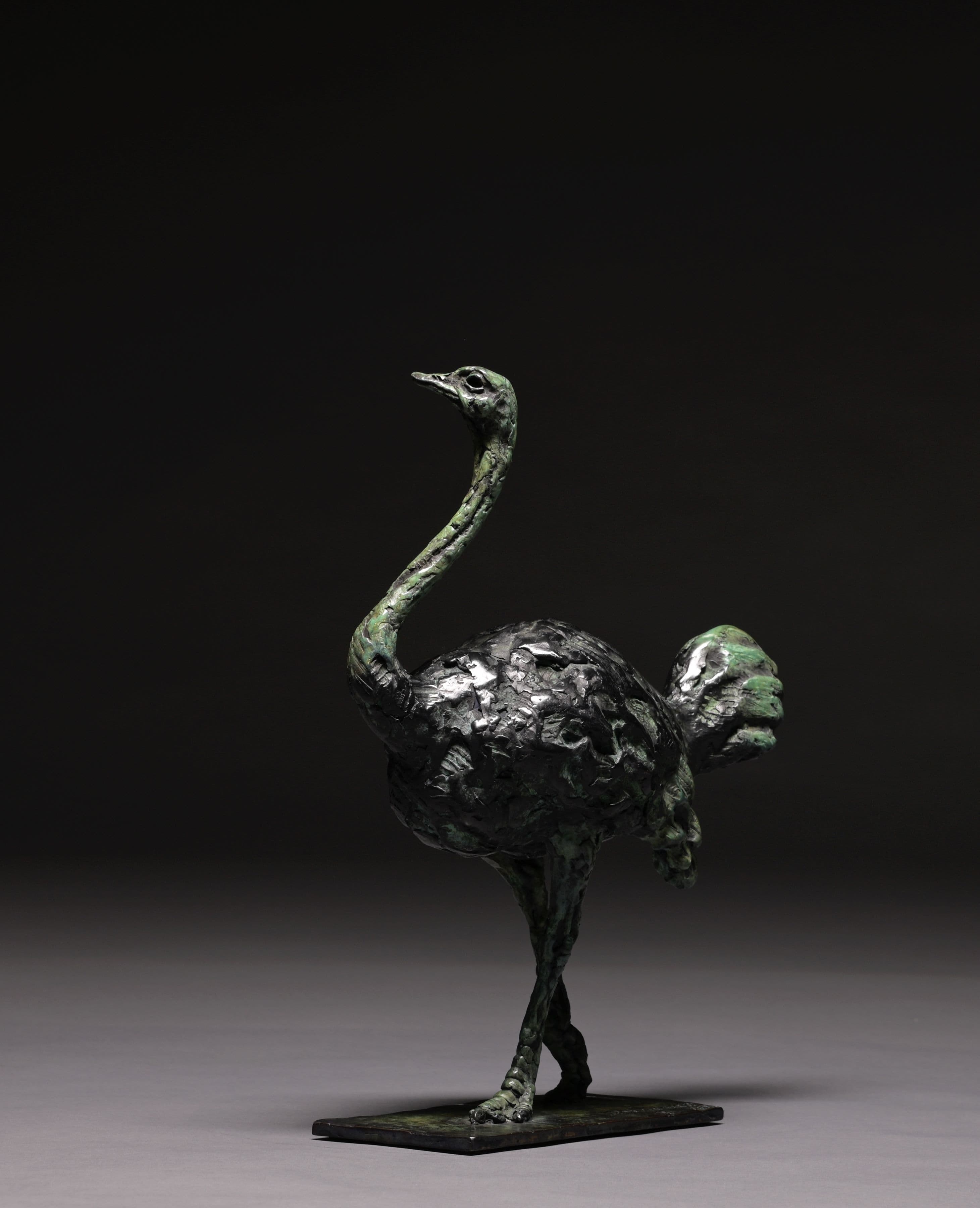 ALL FLASH - NO FLIGHT (Ostrich, autruche)
