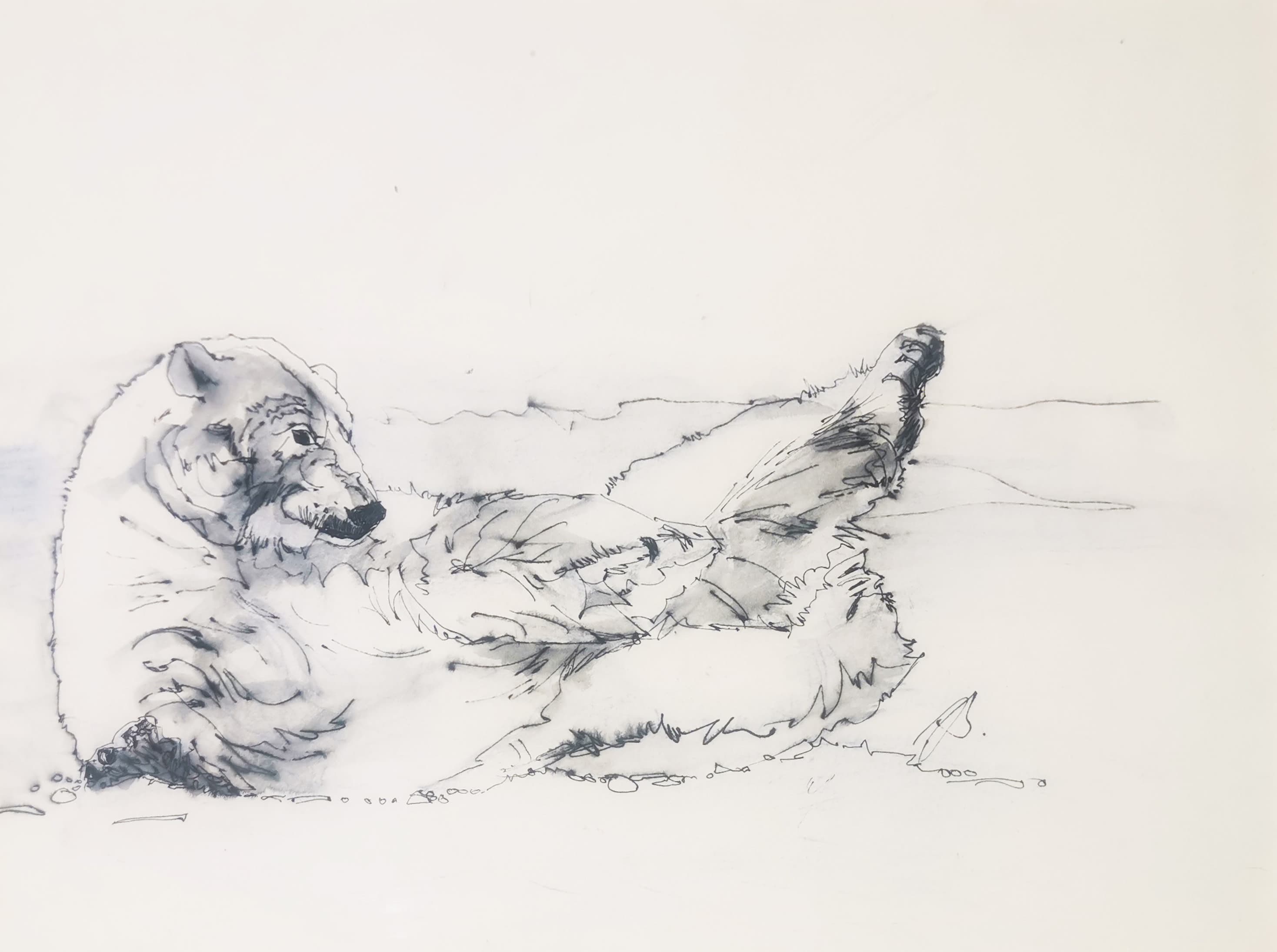 YOGA 1 (ours blanc)