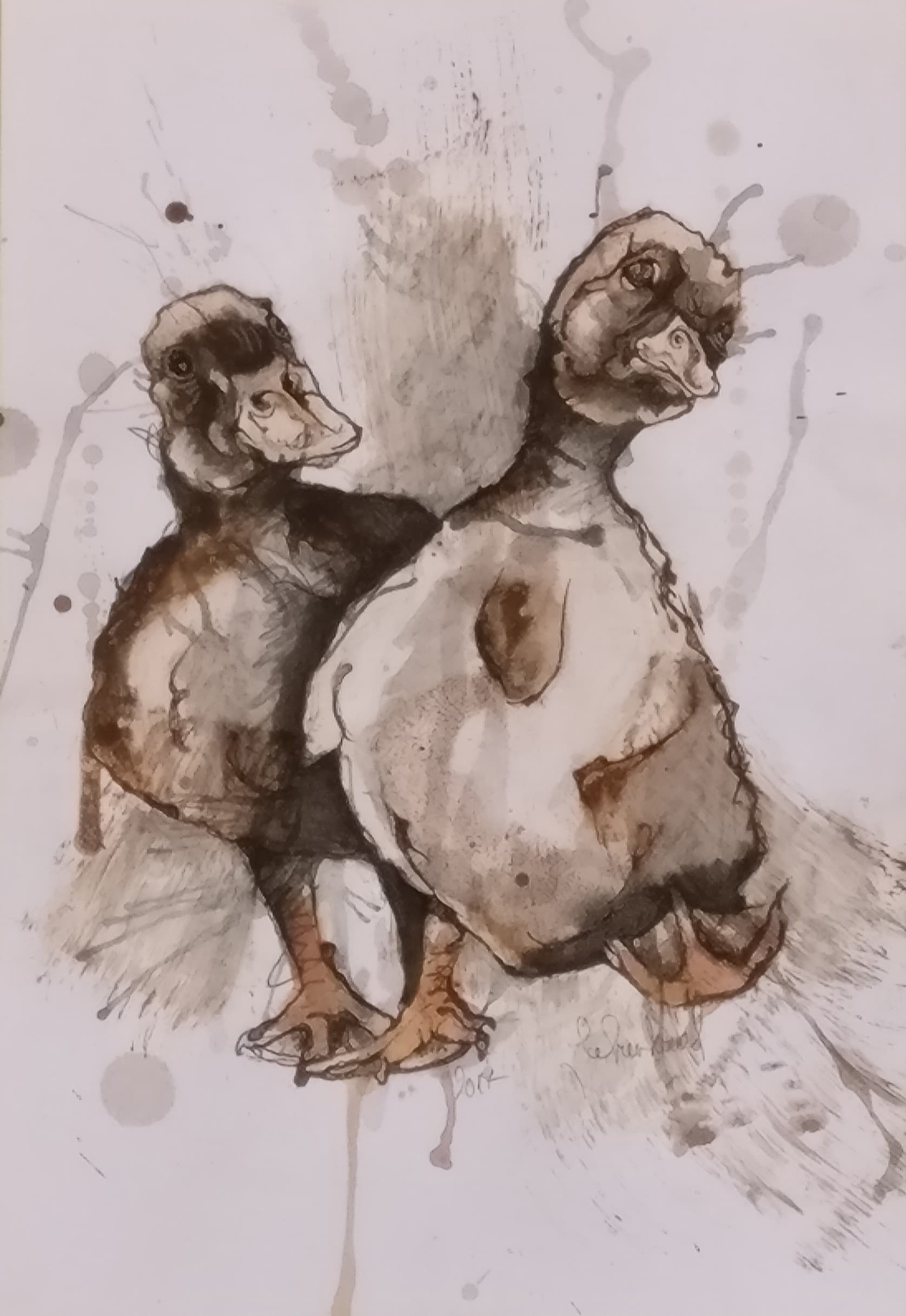CANARDS No2