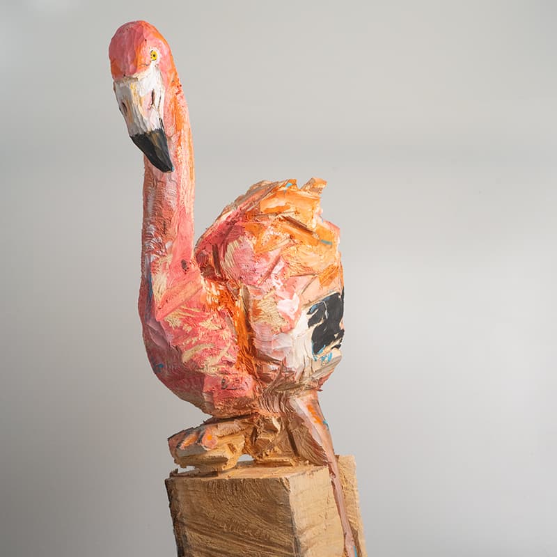 Flamant Rose 3 Par Guillaume Belin