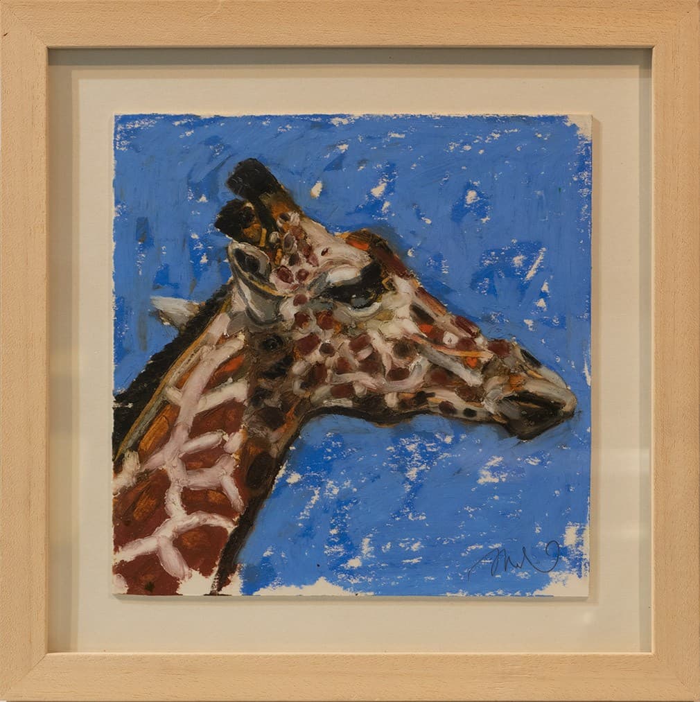 Tête de Girafe
