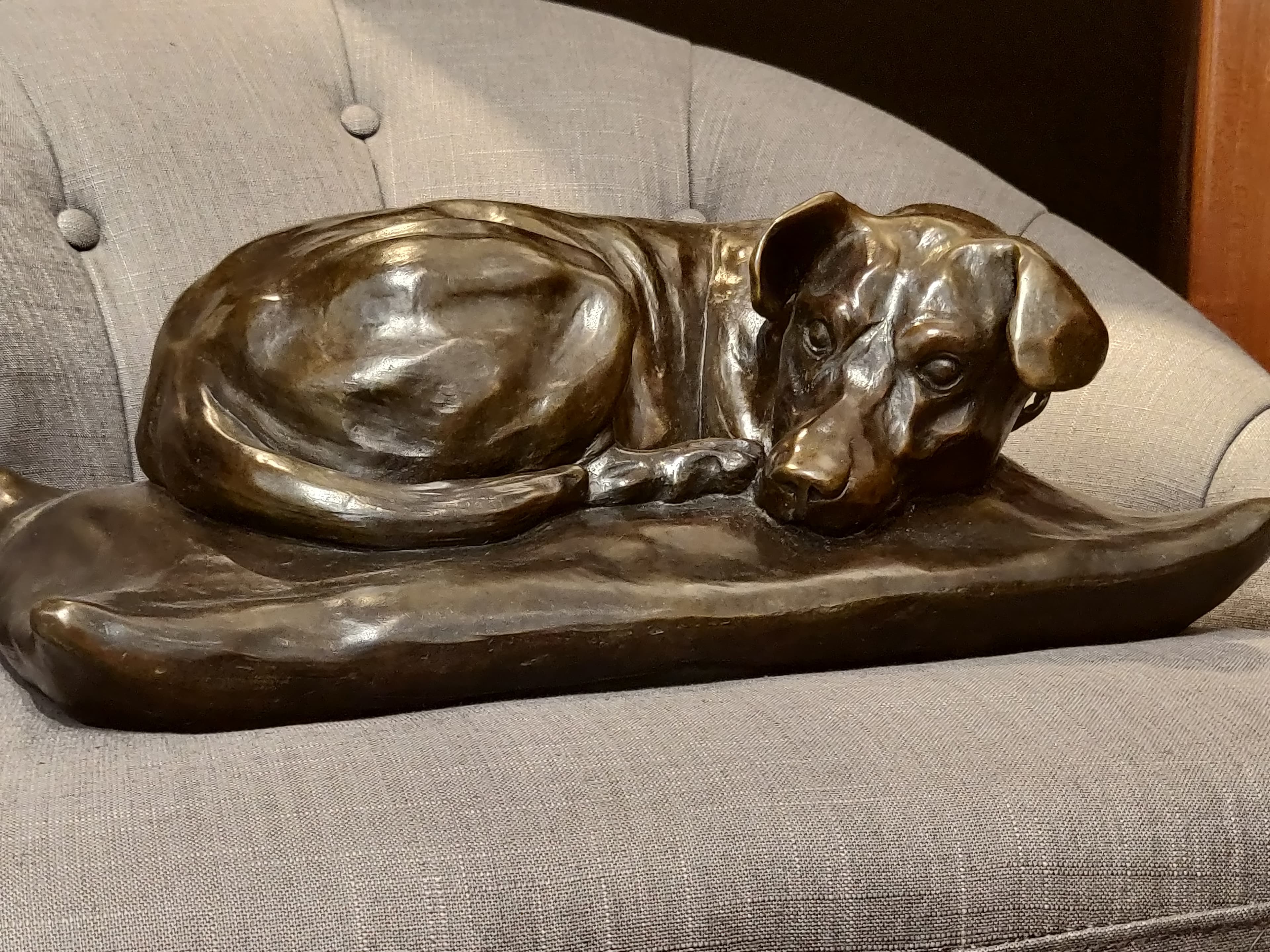Chien \"Gordon's\"