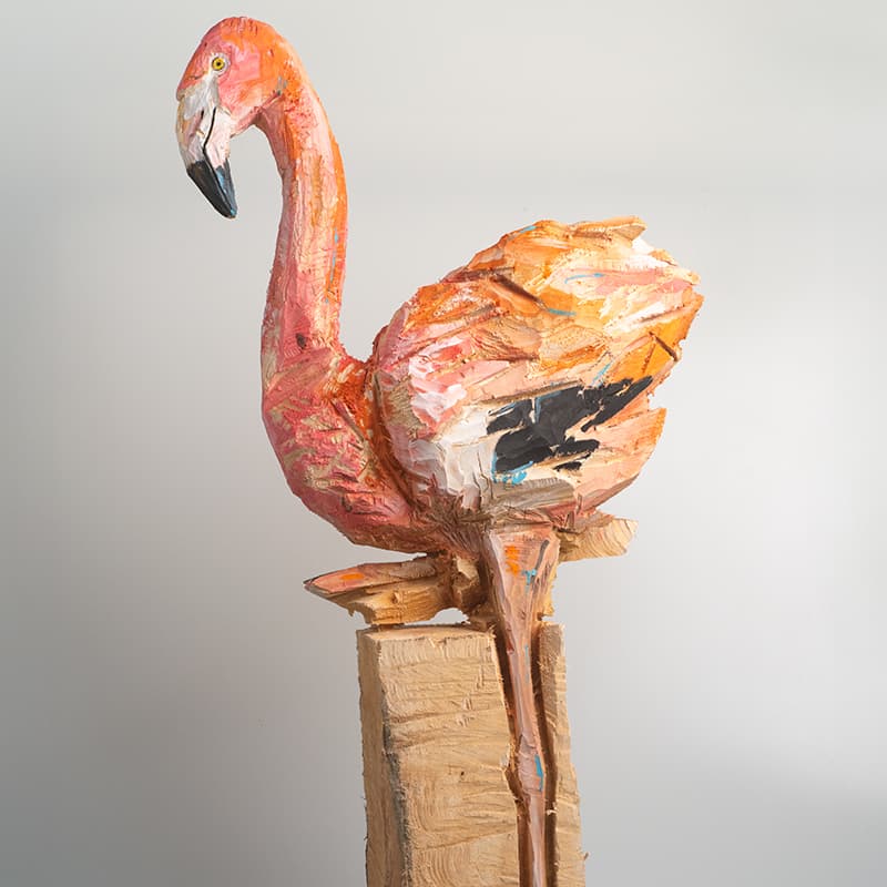 Flamant Rose 4 Par Guillaume Belin