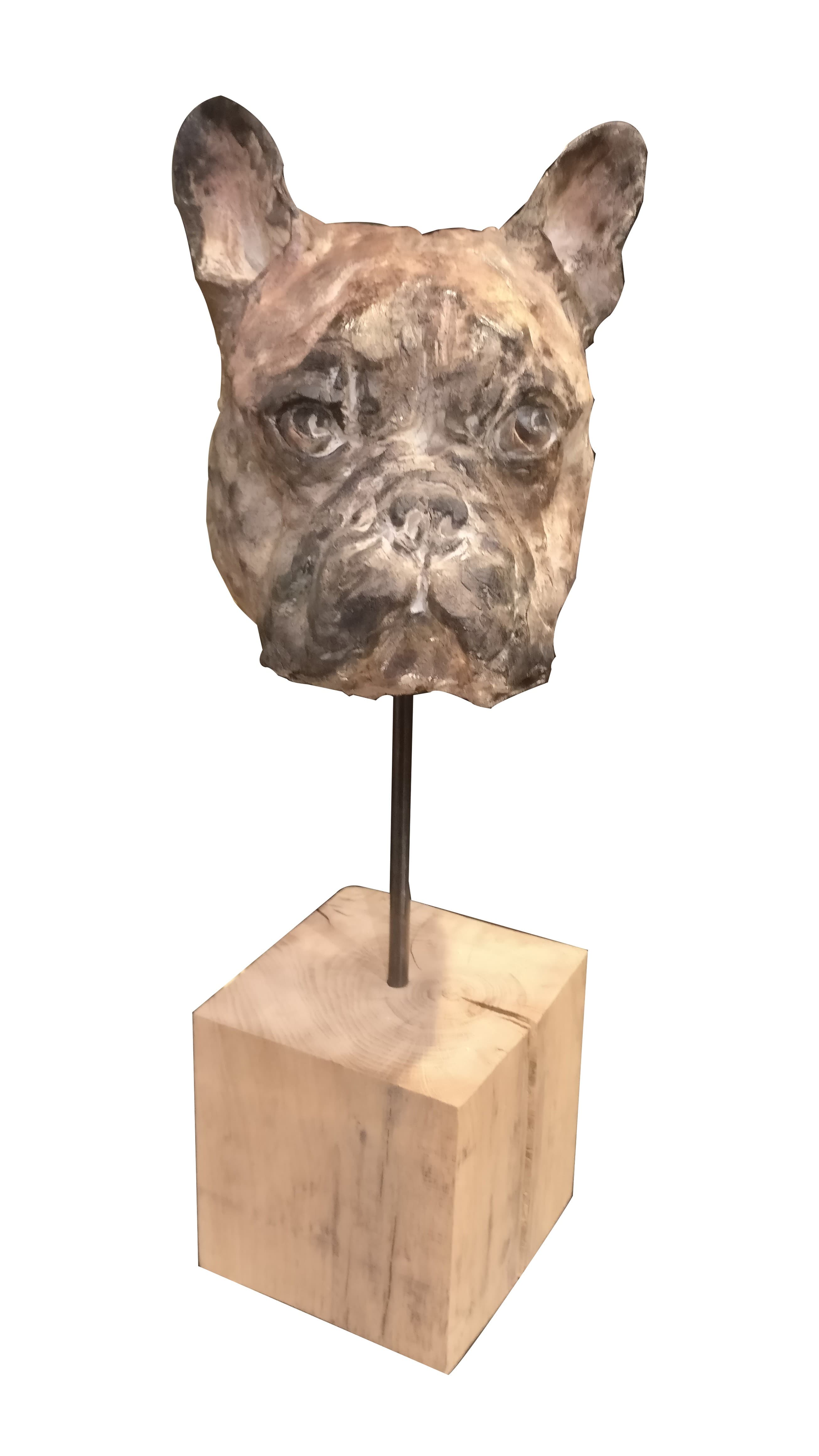TETE DE BULLDOG FRANCAIS (chien)
