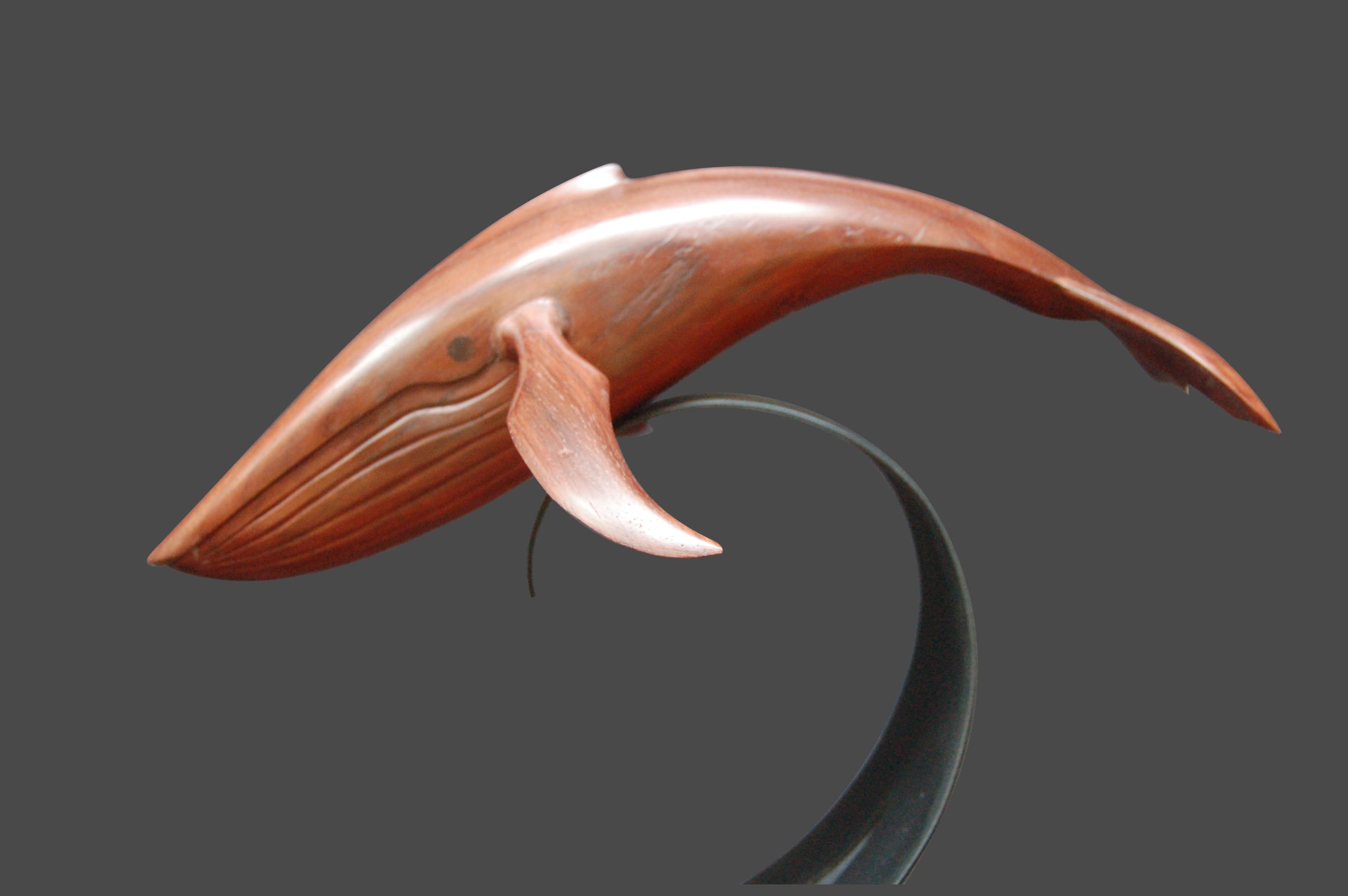 BALEINE BLANCHE