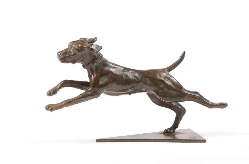 ECHAPPEE BELLE (chien)
