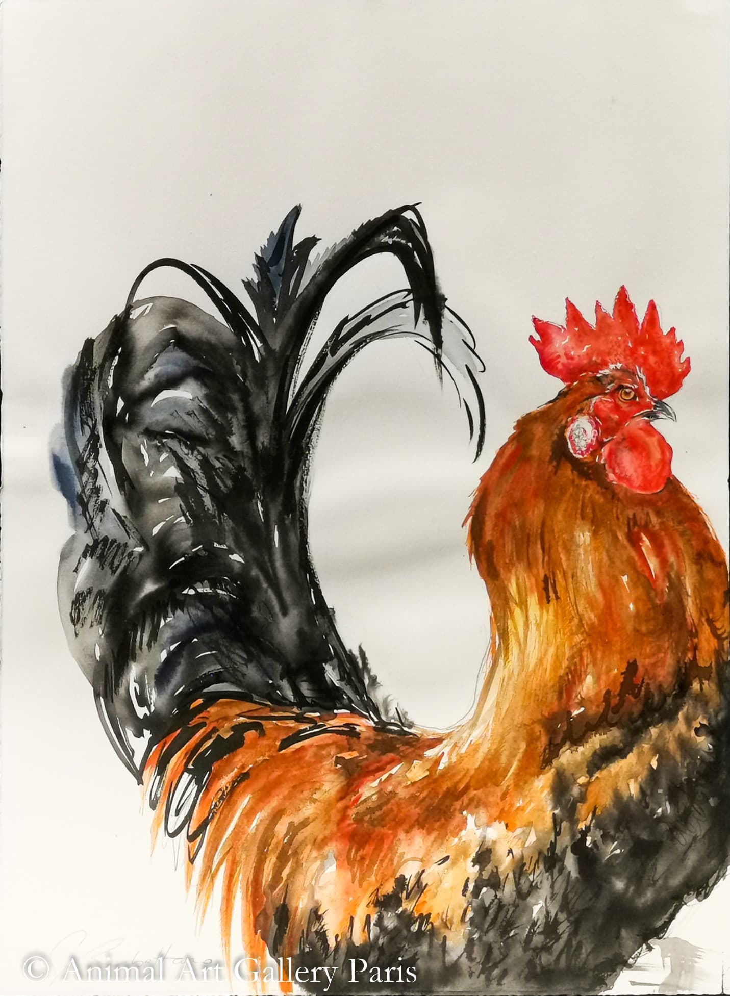COQ ROUGE