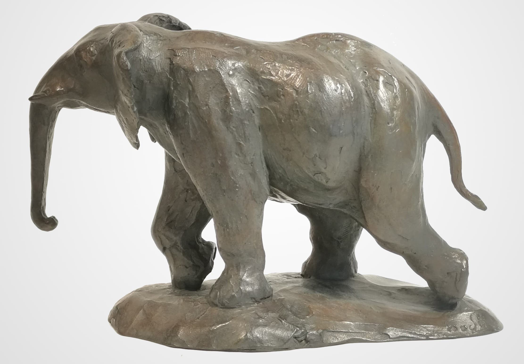 JEUNE ELEPHANT