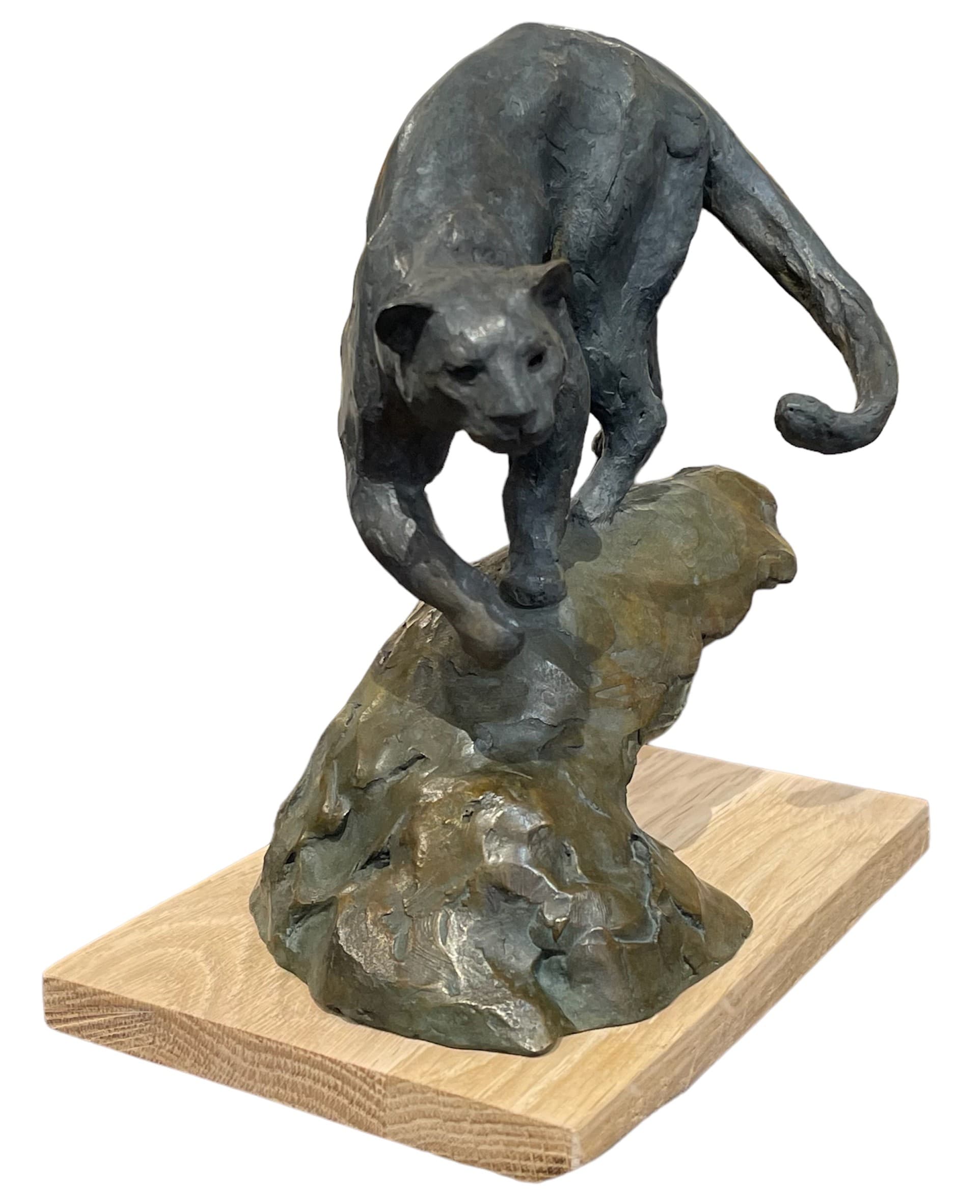 PETIT PUMA DES VOSGES