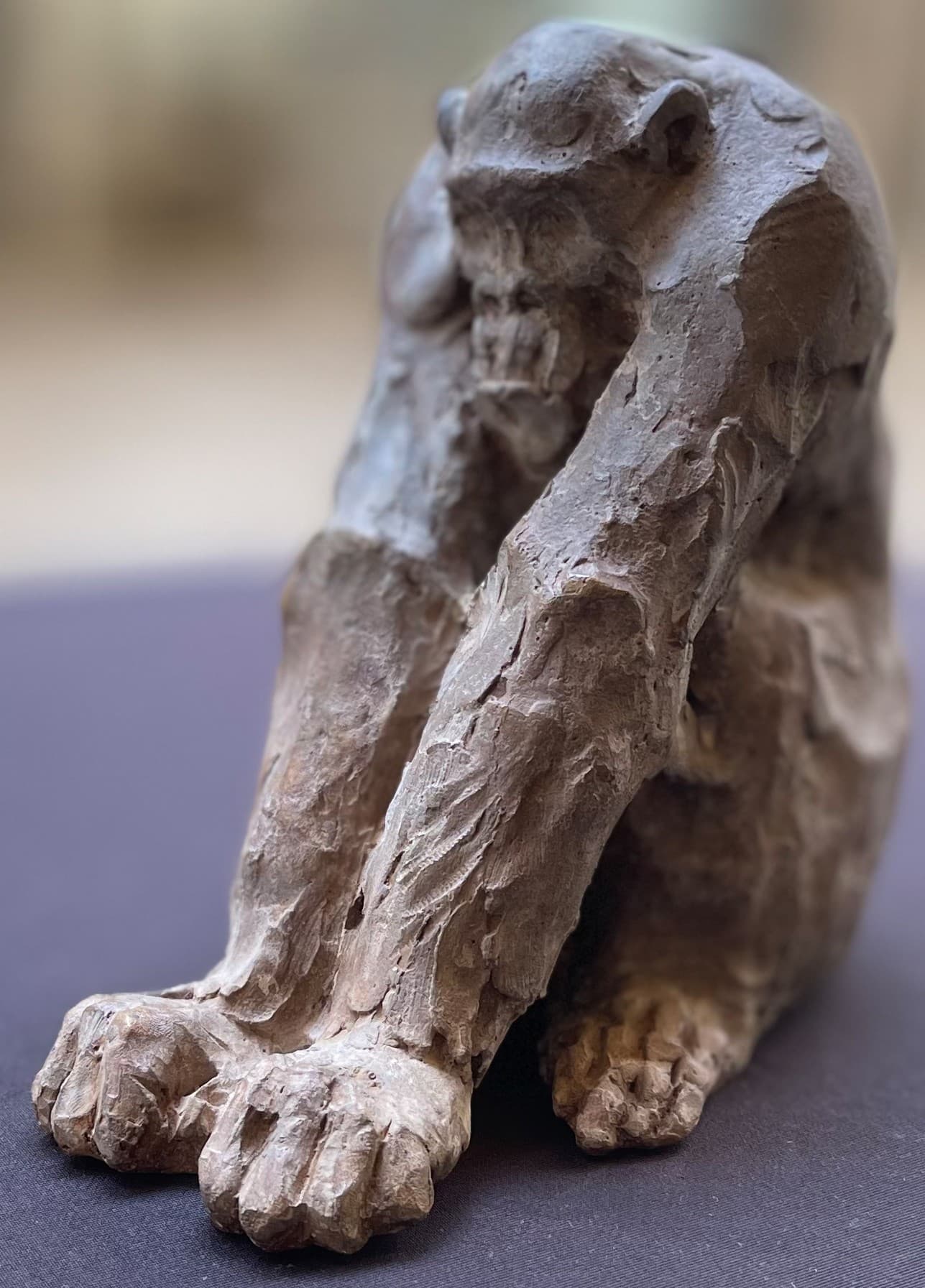 CHIMPANZE