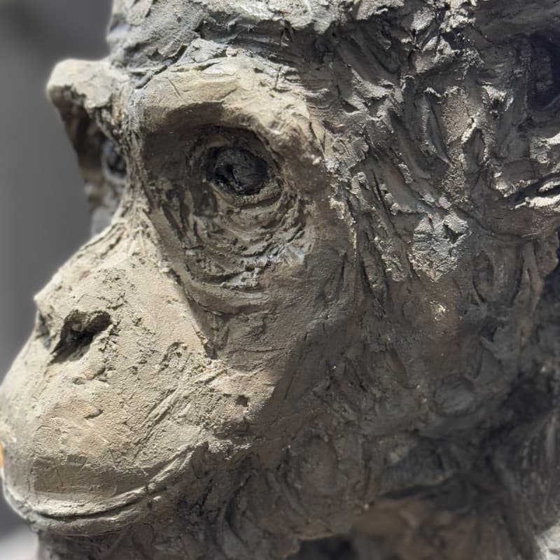 CHIMPANZE (terre cuite)