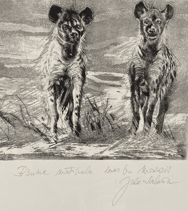 HYENES (Brume matinale dans les marais)