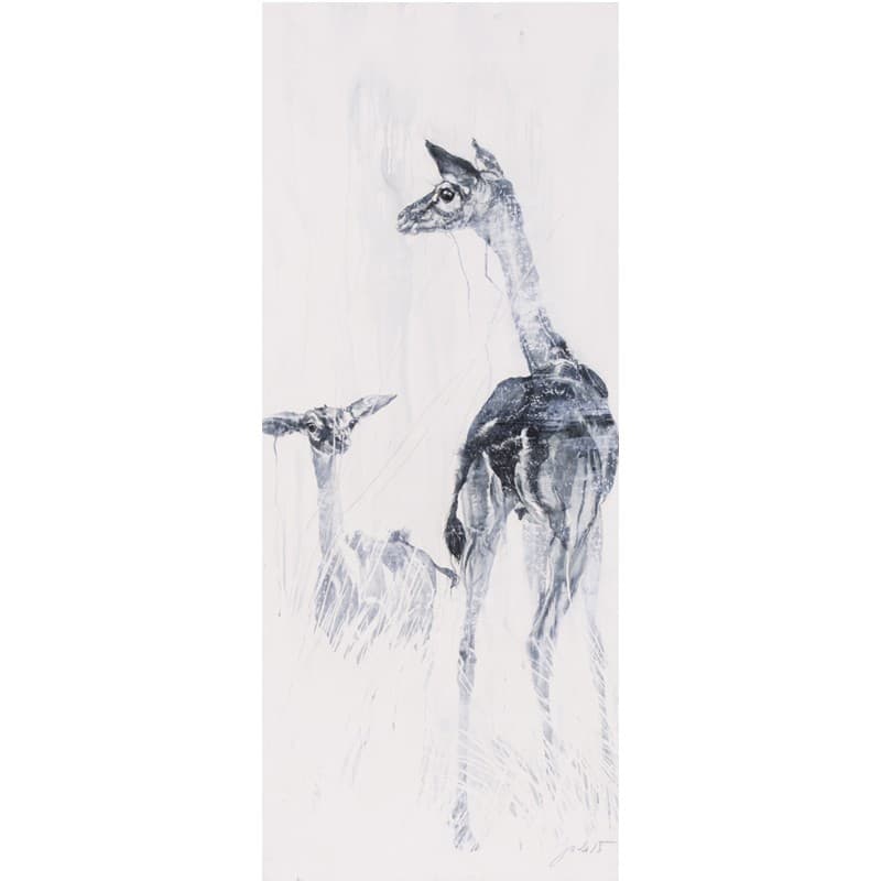 GERENUK FEMELLE ET SON PAON — Julie Salmon
