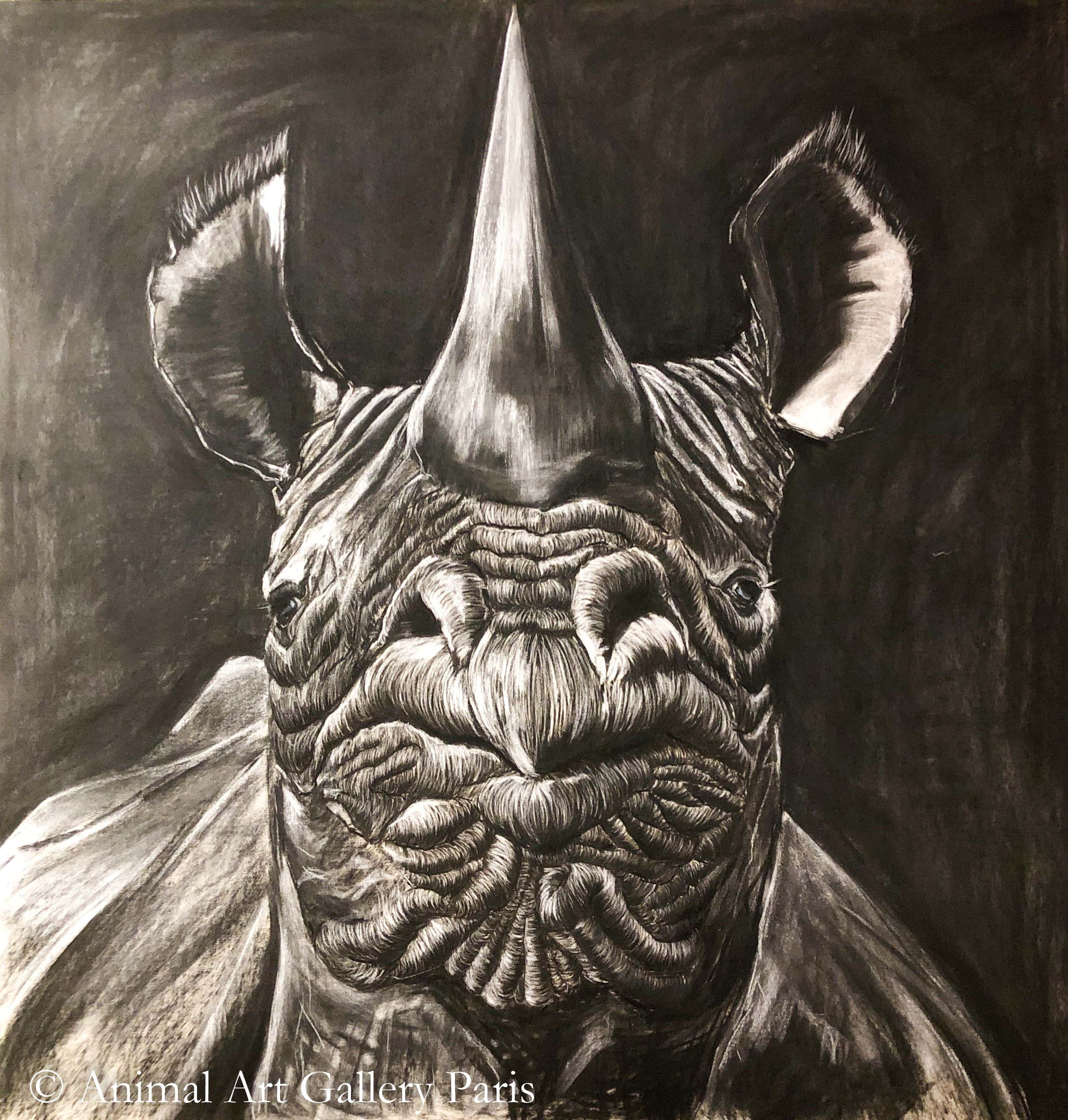 CHIN UP (Un rhinocéros) — Thibaut Dapoigny