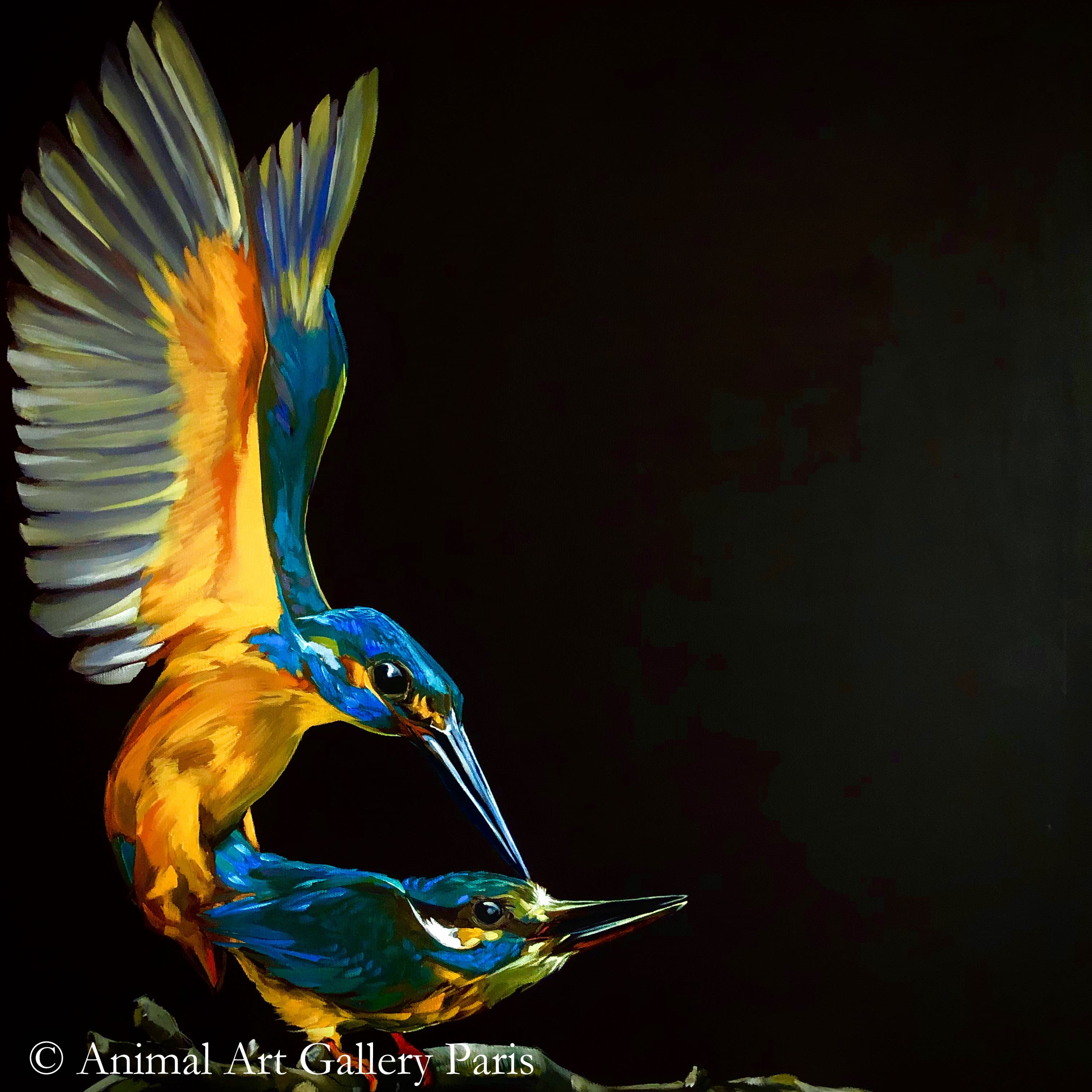 DID YOU KNOW ? №3 (Des colibris)