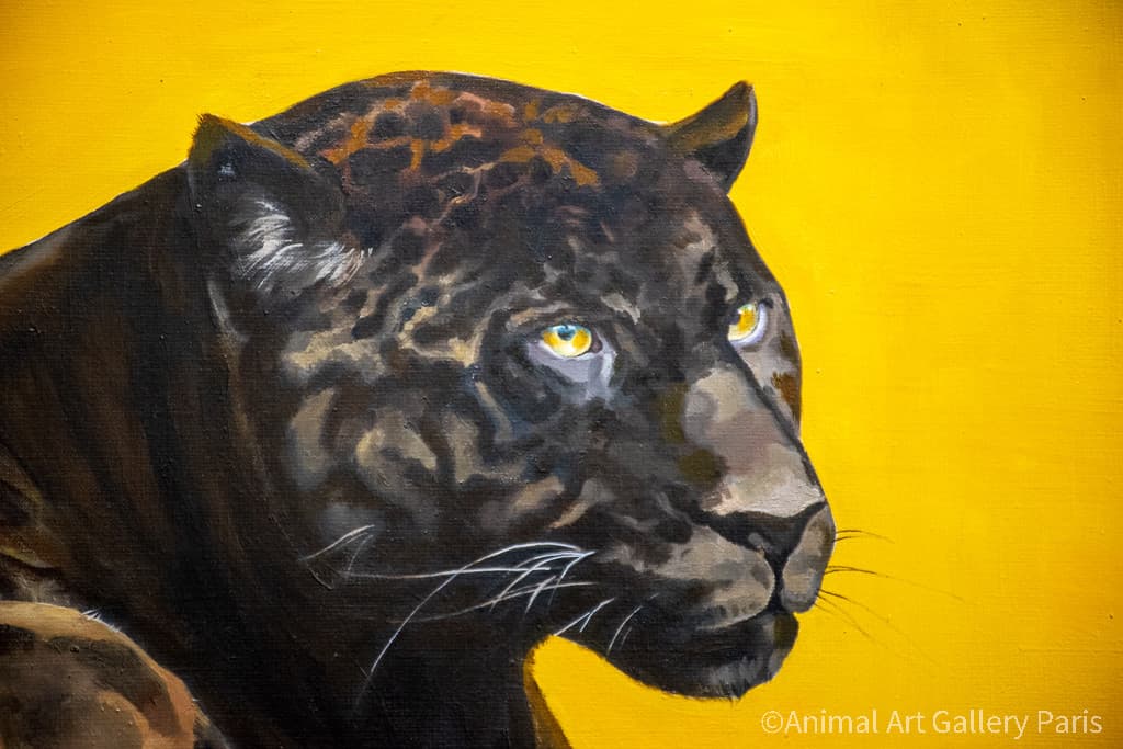 JAGUAR