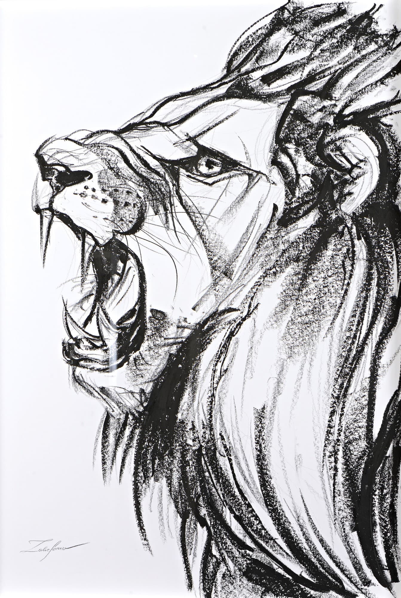 LE LION