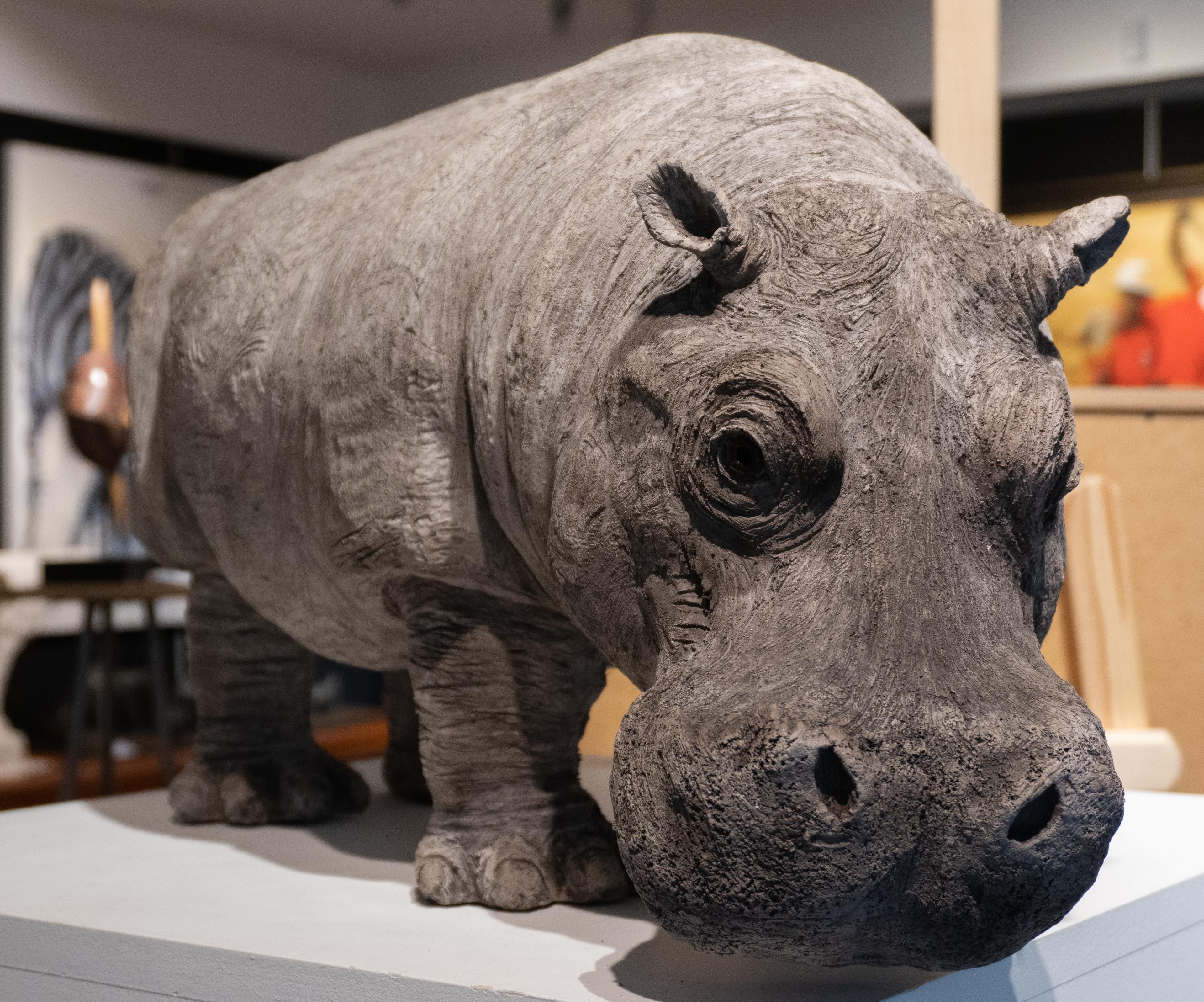 IRMA (hippopotame femelle)