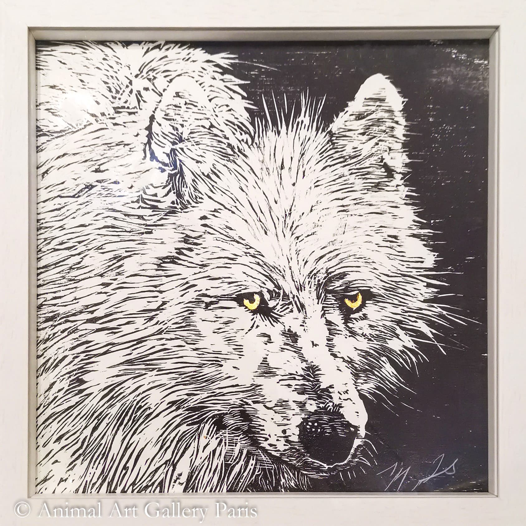 LOUP ARCTIQUE (portrait)