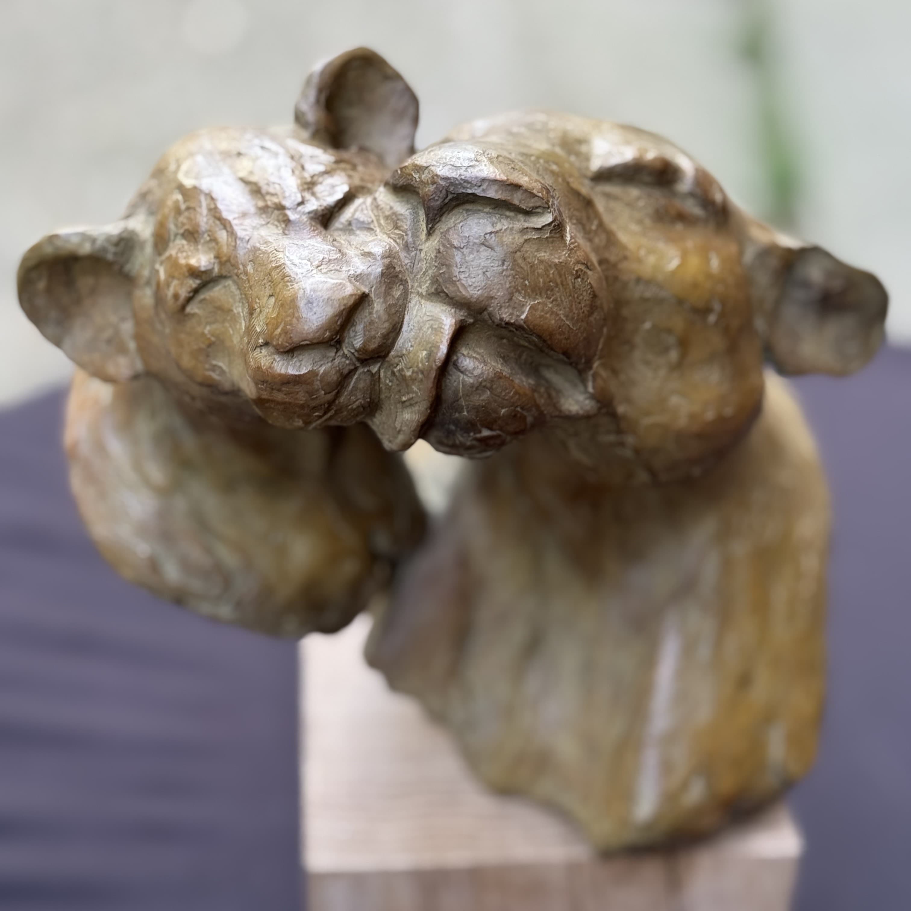 BARBOUILLE (lionne, lionceau)