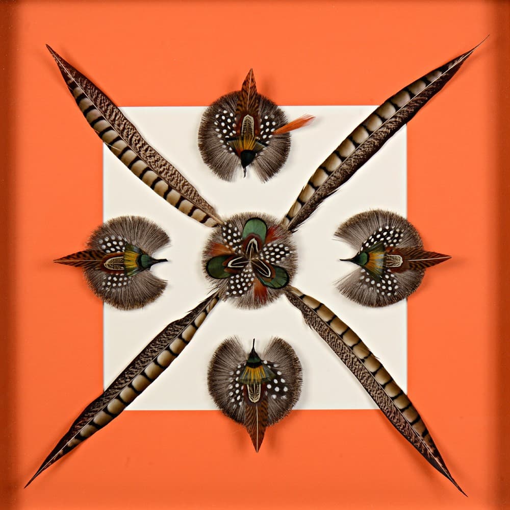 Boussole Daim et Plumes