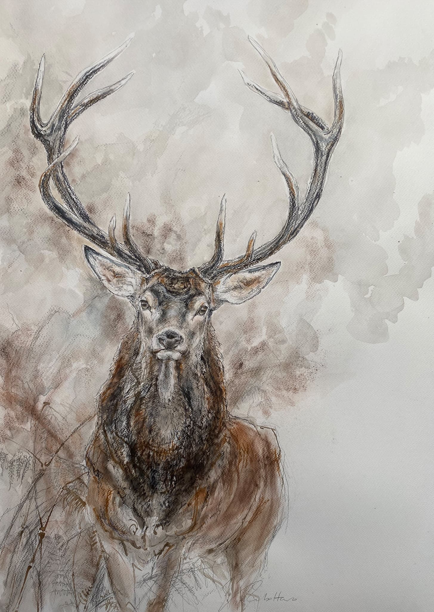 CERF